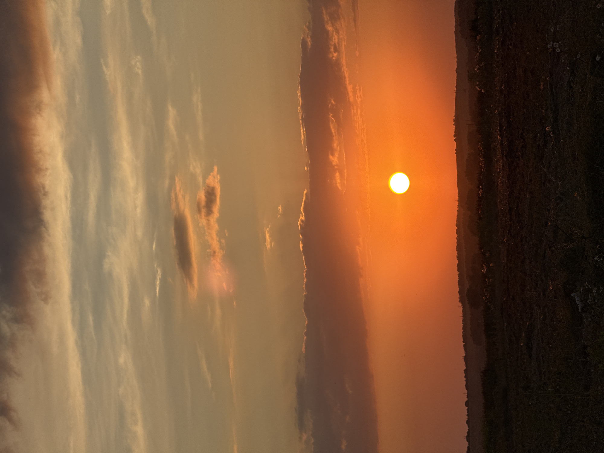 An outdoor, vertical, full shot captures a vibrant sunset over a rural landscape. The sky dominates the frame with a gradient of warm colors, transitioning from a pale yellow at the top to a deep orange near the horizon. Several layers of clouds are visible, with some appearing wispy and translucent while others are denser and tinged with pink and purple hues. The sun, a bright, solid white orb, is positioned slightly off-center to the right, casting a radiant glow across the scene.
Below the sky, a dark, silhouetted horizon line is formed by a gently rolling landscape. The foreground consists of a field or pasture, rendered in dark tones due to the low light. The vegetation appears sparse and somewhat dry, with hints of dried grasses and scattered white wildflowers visible. In the distance, the silhouettes of trees and low hills create a soft, undulating backdrop against the fiery sky. The overall impression is one of a serene and picturesque natural setting at dusk. The image is believed to have been taken in or near Mikhaylovsk, Russia, a city known for its agricultural surroundings.