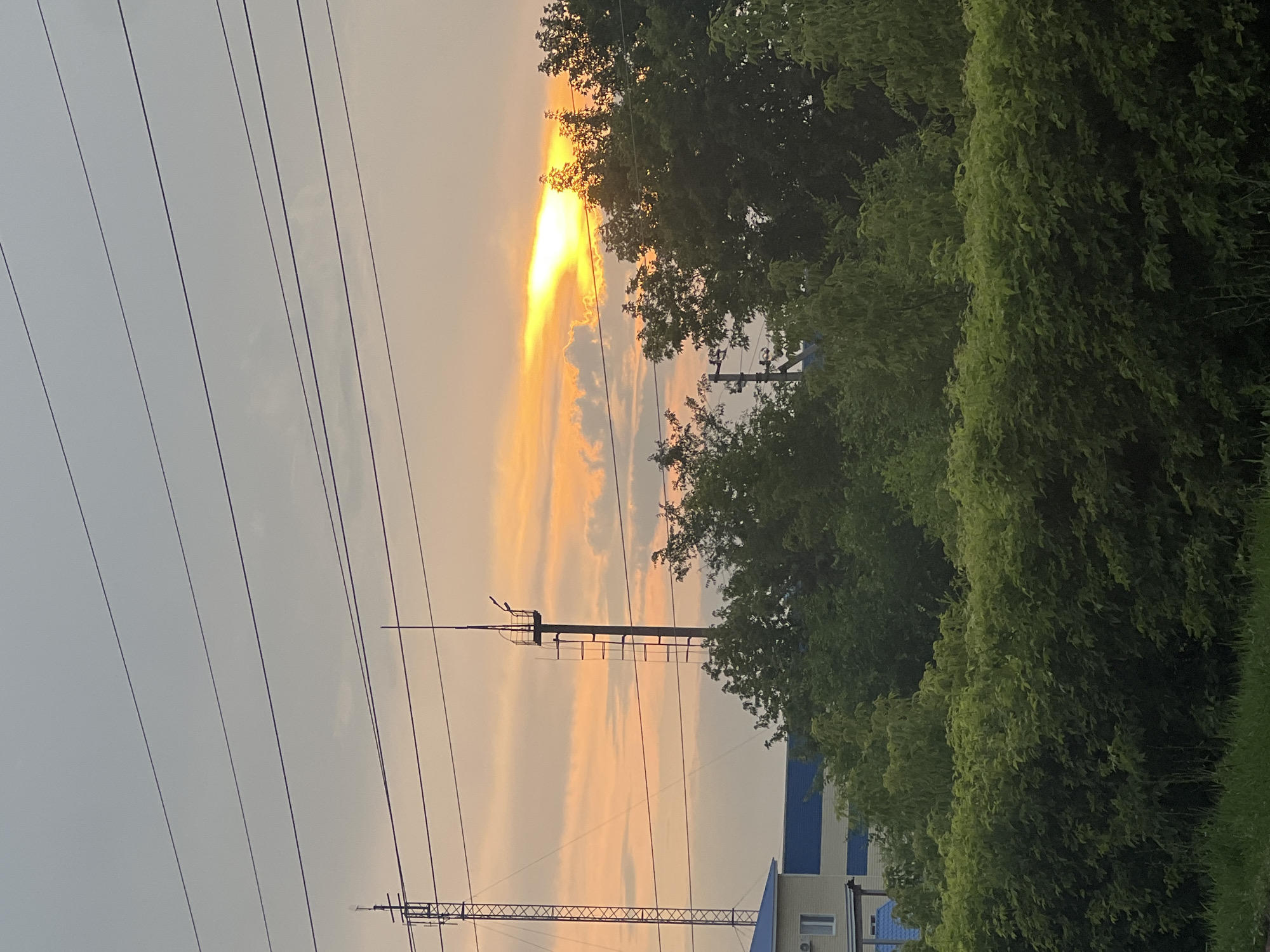 The image depicts a sunset over Buzuluk, Russia. A tall, lattice-like tower and a shorter, dark-colored tower with a ladder are visible against the orange and yellow hues of the sky. Several power lines crisscross the frame horizontally. In the foreground, lush green trees and bushes dominate the landscape, with a building featuring a blue roof and white walls partially visible behind the foliage. The overall scene suggests an outdoor, possibly semi-urban, environment at dusk.
