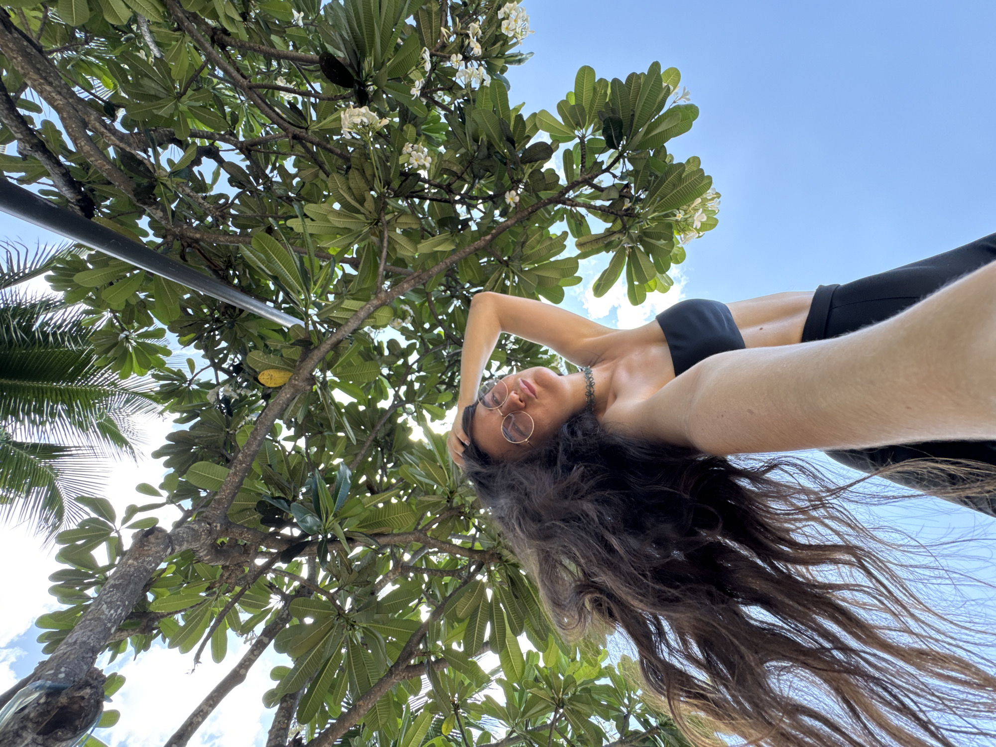 A low-angle selfie captures a female subject looking upwards towards the camera, positioned beneath a dense canopy of a large, broad-leafed tropical tree, likely a Plumeria (Frangipani), with bright blue sky and scattered white clouds visible through the foliage. The subject's right arm, holding the camera, extends into the foreground. She has long, dark brown, wavy hair, appearing swept to her left, and wears round, wire-rimmed glasses with pinkish-tinted lenses. She is dressed in a black strapless top and a black choker necklace with a central green embellishment. Her left hand is raised, touching the upper right side of her head. Her lips are slightly pursed, and her expression is calm.
The tree's canopy features numerous large, dark green, ovate leaves and clusters of small, white, five-petaled flowers. Gnarled, greyish-brown branches extend across the frame. In the upper left, a section of a palm frond is visible, and a blue strap or tape is wrapped around a tree branch. A dark grey/black pole extends diagonally from the upper right corner, partially obscured by leaves. The lighting is bright, indicative of clear daylight. The scene is situated in Phu Thuy Ward, Vietnam.