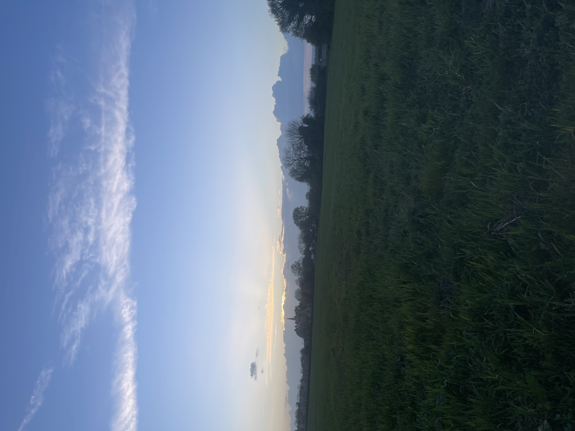 The image depicts a landscape with a field of green grass occupying the right half of the frame. The left half showcases a blue sky with a vertical band of wispy clouds on the left side. Further in the distance, trees and building structures are partially visible. Rays of light can be seen breaking through the clouds. The photograph appears to be taken in the vicinity of a town or village, possibly in Maidstone, United Kingdom, as suggested by the presence of a church spire amidst the trees. No people are visible in the frame.