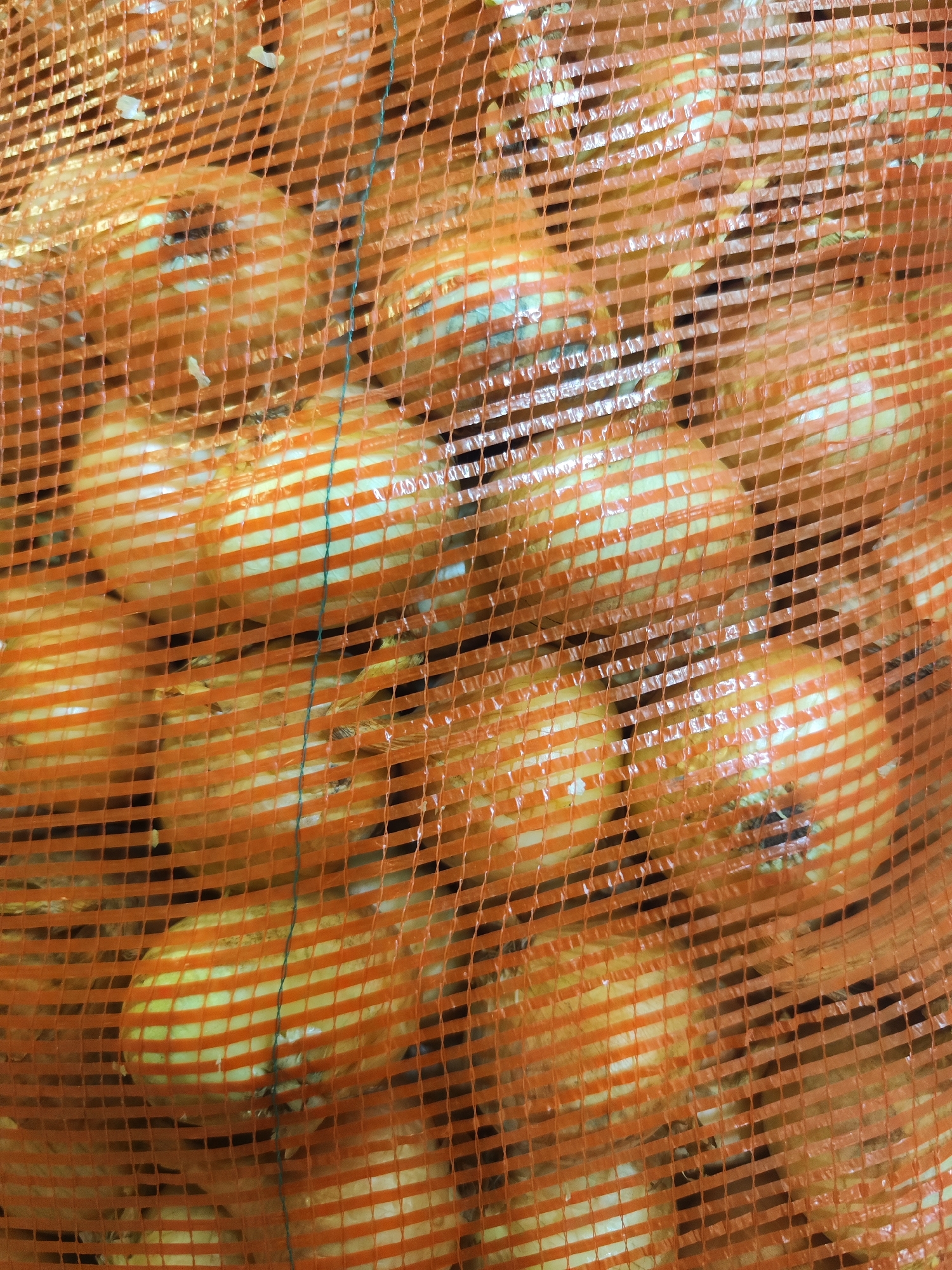 A close-up shows a bag of yellow onions. The onions are contained in an orange mesh bag. The background is out of focus. There is no indication of the image being taken in Chaikovsky, Russia.