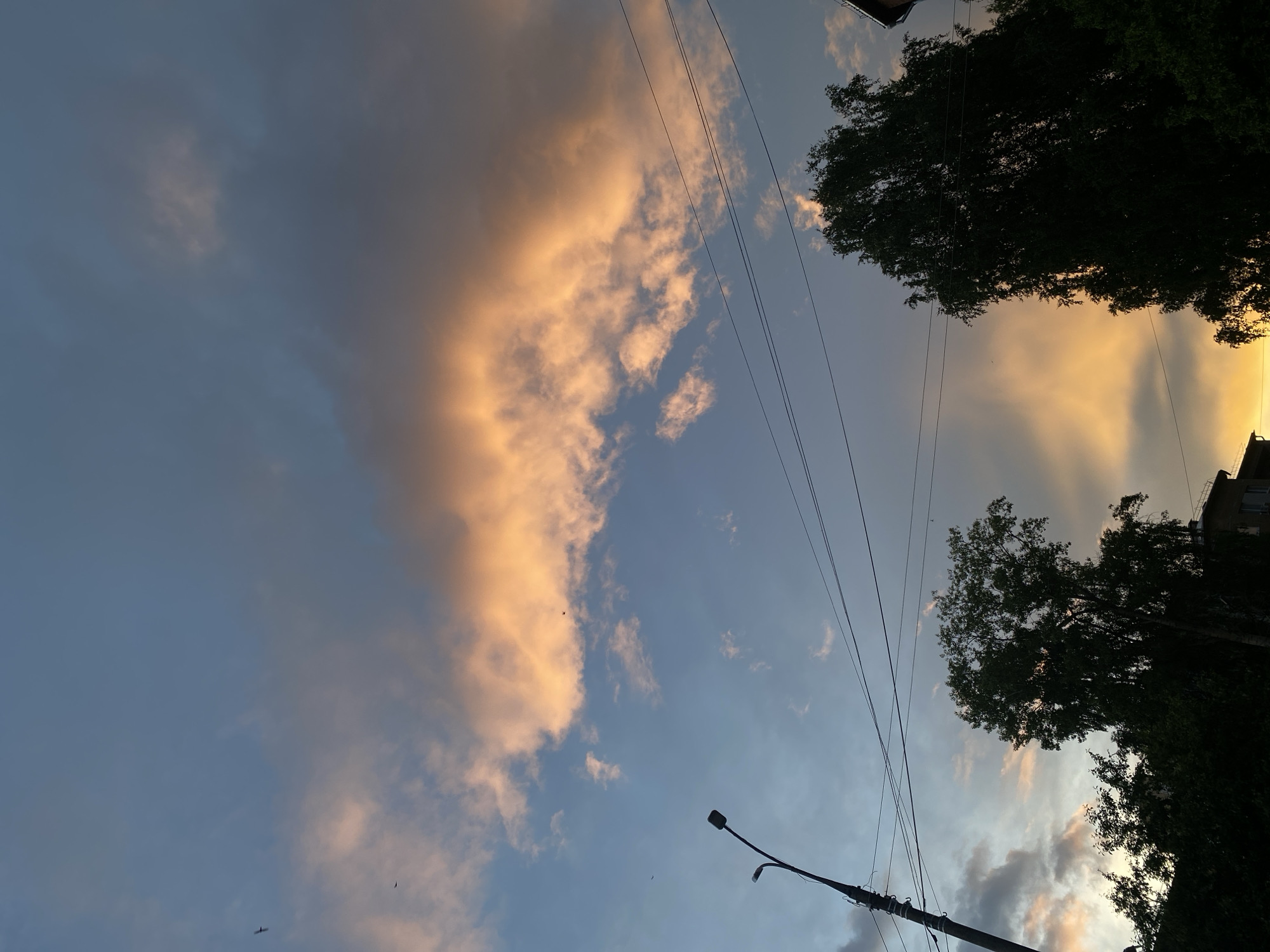 The image presents an outdoor sky view, captured likely at sunset or sunrise in Votkinsk, Russia, given the warm, golden-orange and pinkish light illuminating the clouds. The sky displays a gradient of light blue, transitioning into darker, muted tones, with prominent cloud formations. A large, elongated cloud, brightly lit by the low sun, stretches across the mid-left portion of the frame.
Silhouetted against the bright sky, dense foliage from trees occupies the right and upper edges of the image. Multiple parallel power lines crisscross the frame horizontally, running across the sky and in front of the trees. A dark, angular streetlight pole and arm are visible in the lower center-right, also silhouetted. Hints of building rooftops can be seen behind the trees in the far right and upper left corners. A few small, dark specks, possibly birds, are scattered across the sky. The scene is devoid of any visible text or direct human activity, focusing on the atmospheric qualities of the sky at twilight.