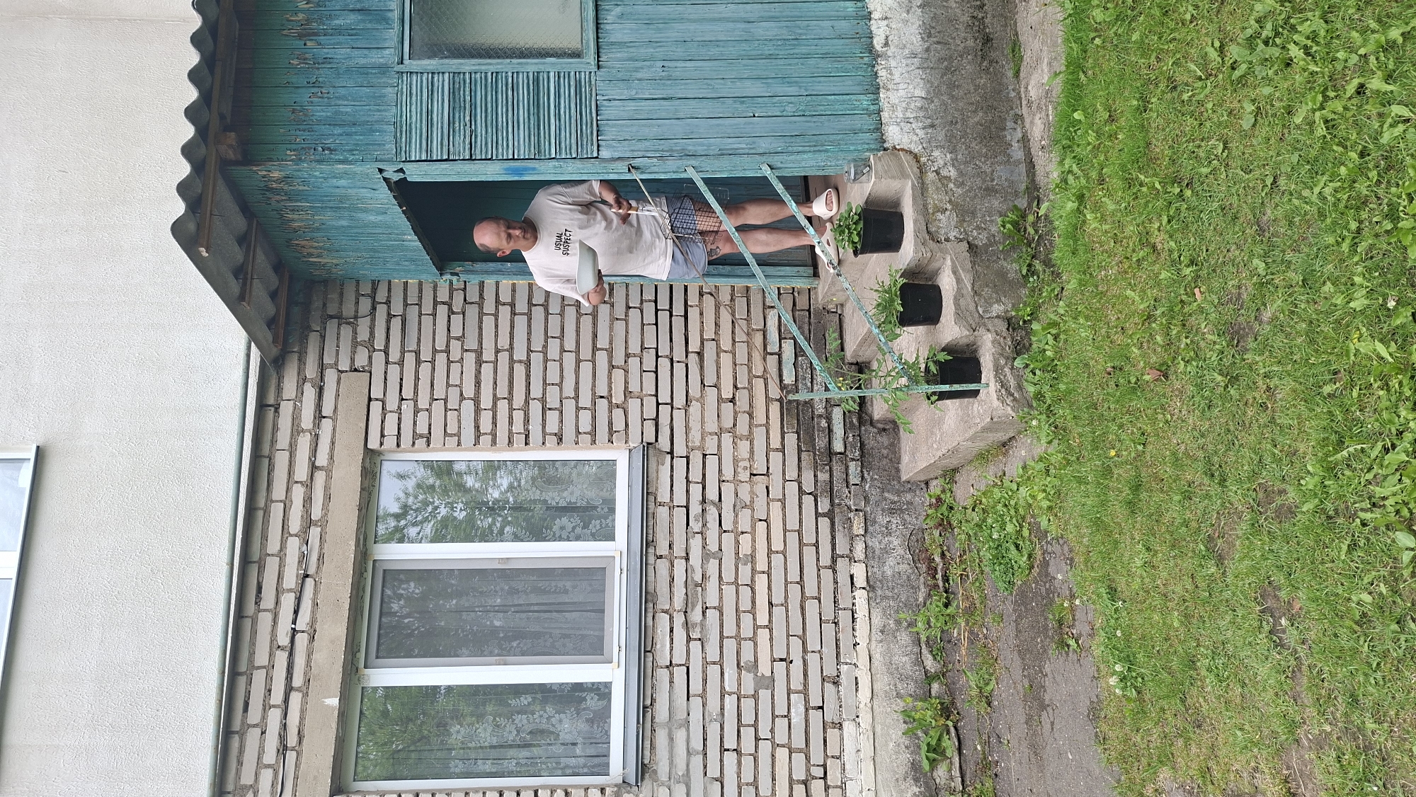 The scene depicts an outdoor residential area in Забалоцкі сельскі Савет, Belarus. A bald, middle-aged male is observed descending three concrete steps from an open doorway of a weathered, teal-blue wooden porch structure with a corrugated metal roof. The man is wearing a light beige t-shirt with "USUAL SUSPECT" printed on it, dark blue patterned shorts, and white slide sandals. He holds a white ceramic bowl in his left hand and a metal grilling basket in his right hand. A tattoo is visible on his right thigh.
To the left of the porch, an exterior wall of a building is visible, constructed of light-colored bricks on the lower section and a light grey stucco finish above. A white-framed window with a sheer white curtain and reflections of trees is present in the brick section. A green metal railing, showing signs of wear, extends down the left side of the concrete steps. Three black potted plants, containing small green seedlings, are positioned on the concrete steps to the left of the man. The ground in the foreground consists of patchy green grass and weeds, with areas of bare soil and a concrete section leading up to the building's foundation. The base of the brick wall exhibits dark discoloration, indicative of moisture or age.