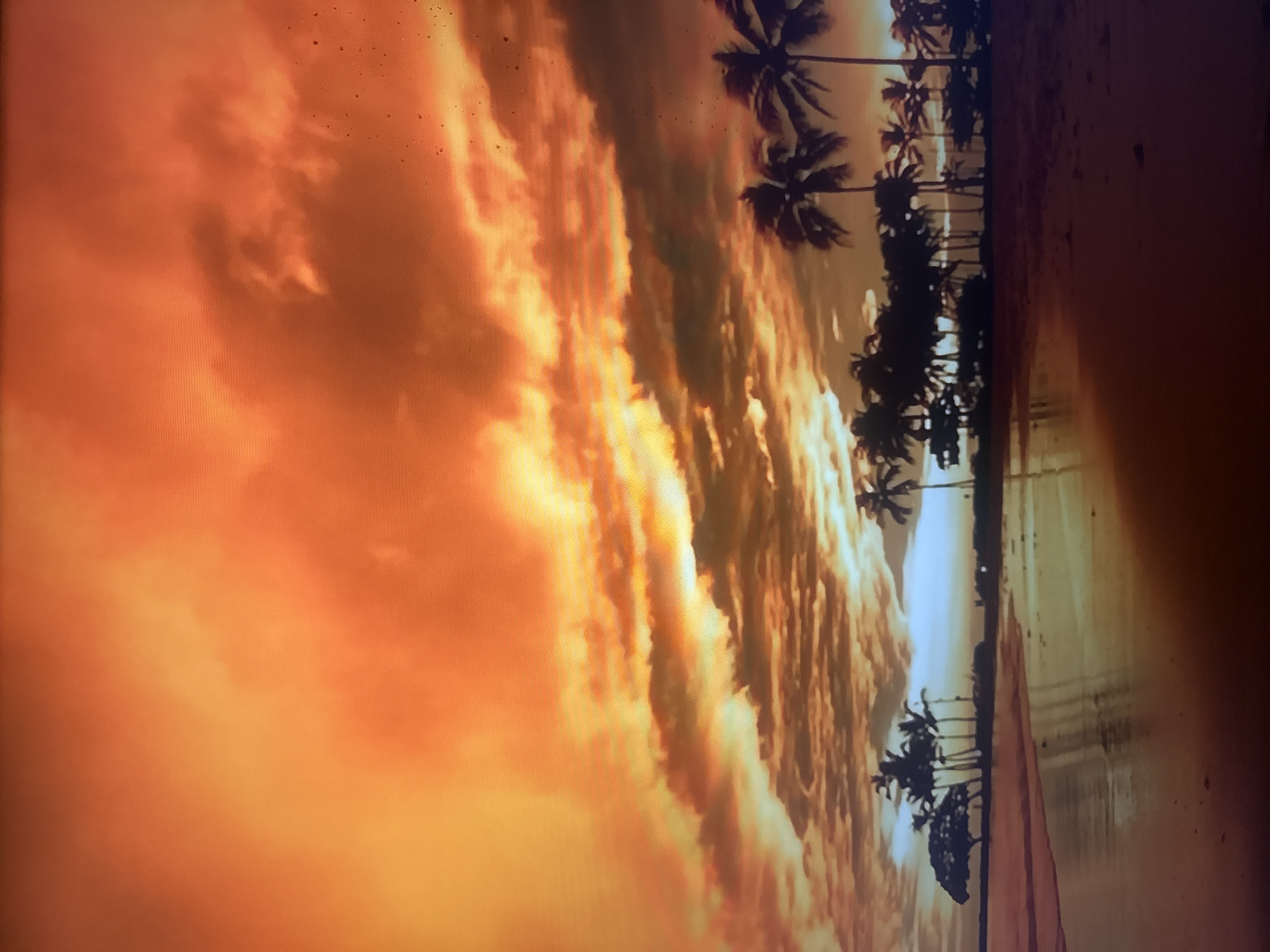 This media file is a photograph depicting a tropical beach scene at sunset. The sky is filled with dramatic, fiery clouds in shades of orange, yellow, and red, suggesting a vibrant sunset. Silhouetted palm trees line the edge of the beach, their fronds spread against the colorful sky. The ocean is calm and reflects the colors of the sunset, creating a serene and picturesque atmosphere. The sand of the beach is visible, with subtle textures and footprints suggesting recent activity. The overall mood is tranquil and awe-inspiring, capturing the beauty of a tropical evening. The image is presented in a vertical orientation. No people or text are visible in the photograph.