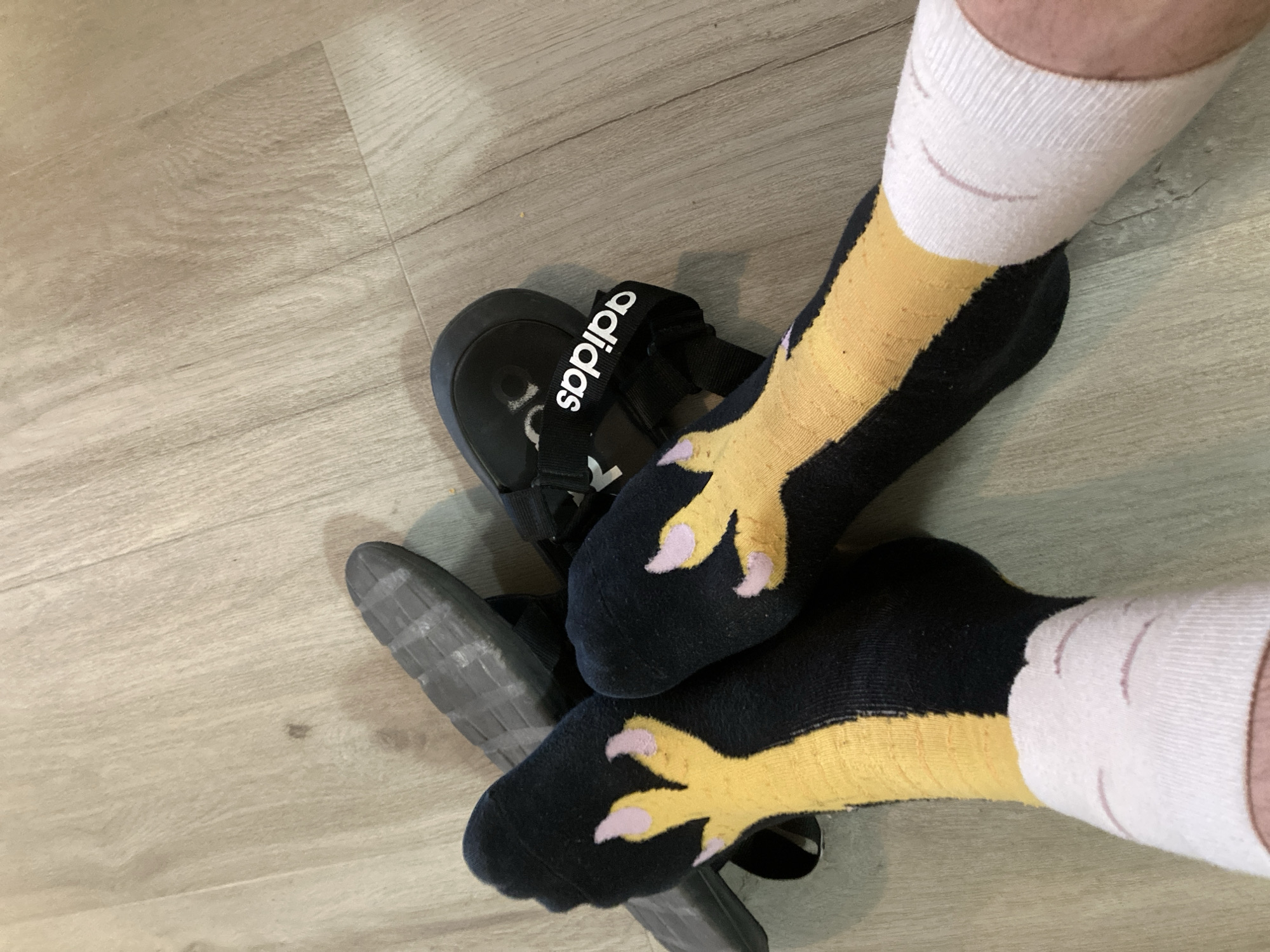 This is a close-up, aerial view of a person's feet wearing novelty socks designed to look like bird claws, lying on a light-colored wood-grain floor in Round Rock, Texas, USA. The socks are black with yellow and pink claw designs. To the right of the socks is a black Adidas sandal. To the left of the socks is another dark-colored shoe or sandal. The lighting suggests an indoor environment, likely a home.