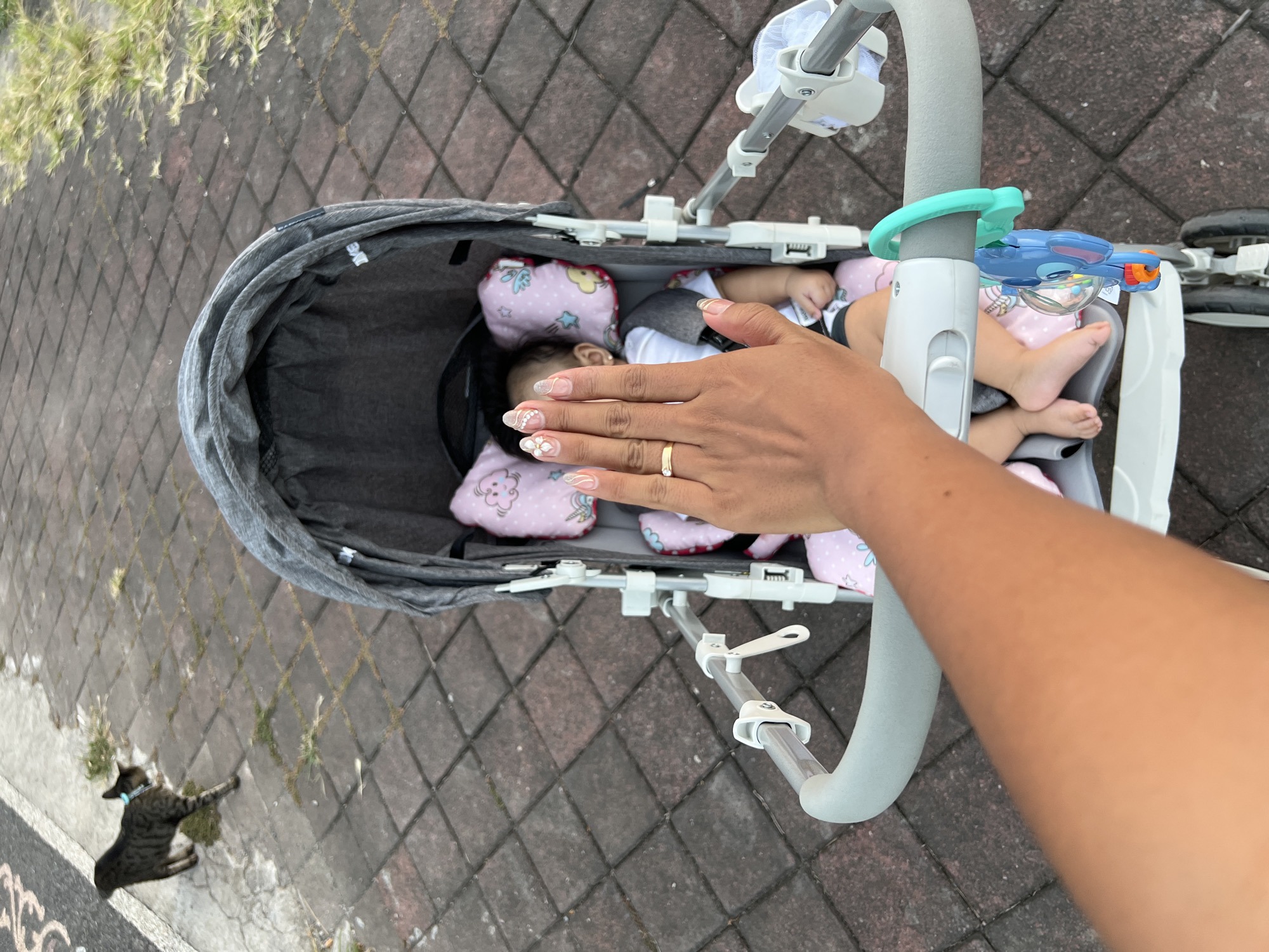 In Mengwi, Indonesia, a person's hand with manicured nails, wearing a ring, is raised in a high-five gesture. The hand is positioned in the foreground, obscuring a baby in a stroller. The baby, wearing a white outfit, is lying down in a gray stroller with pink pillows decorated with clouds. A tabby cat is visible in the background, walking on a paved pathway. The environment appears to be outdoors, with a tiled walkway and some grass.