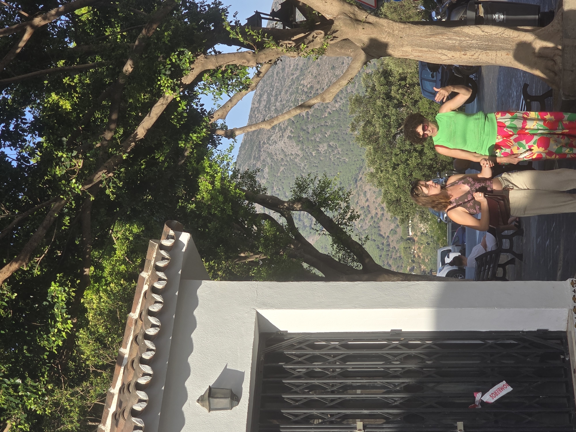 Two women stand outdoors in what appears to be a Mediterranean setting. The woman on the left is wearing a patterned top and light-colored pants, and holds a dark purse. The woman on the right wears a bright green sleeveless top and vibrantly patterned pants. She is gesturing with her right hand. They are standing near a white building with a tiled roof, and a metal accordion gate. A large tree with significant branches is to their right. In the background, a hillside covered in vegetation slopes upwards towards a mountain under a clear blue sky. The overall impression is a sunny day in a Spanish town, possibly Mijas, given the architectural style and vegetation.