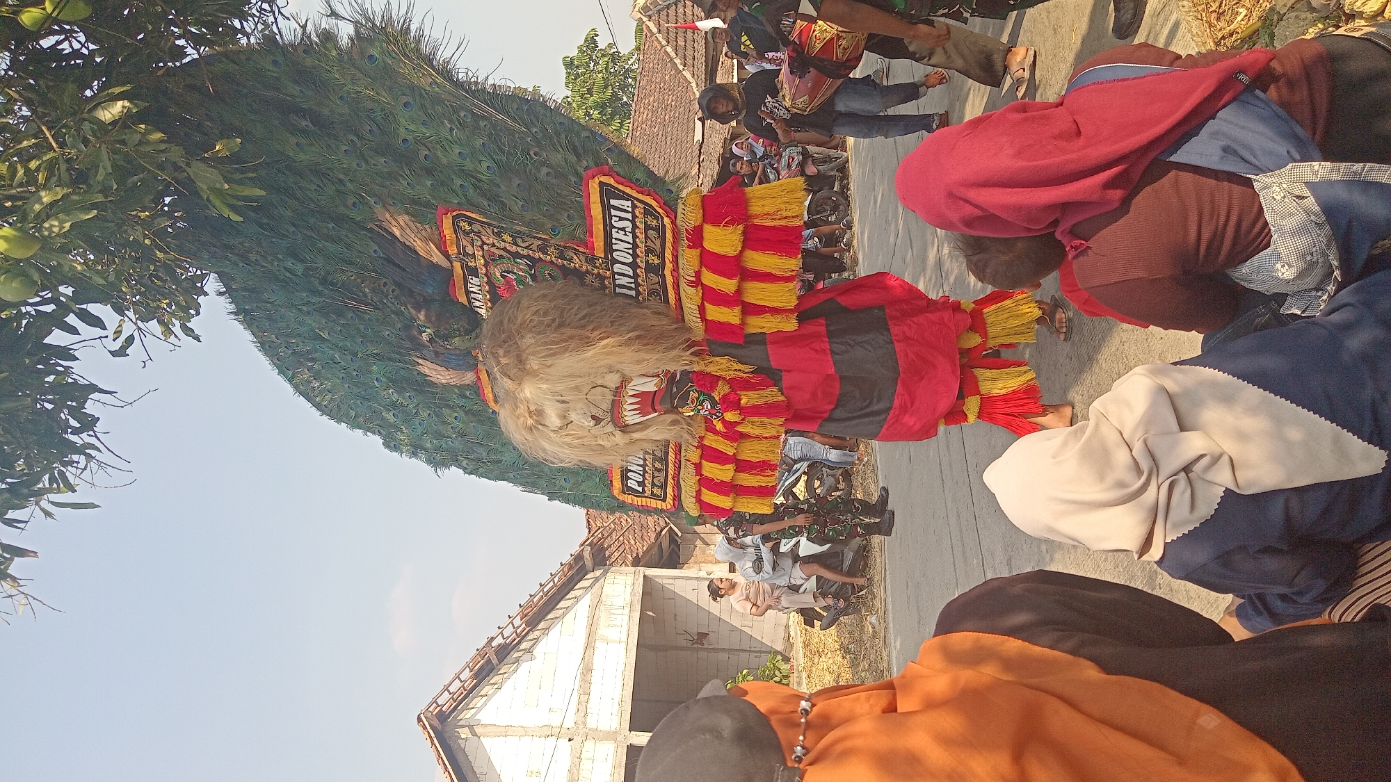A vibrant cultural performance is underway in Tinapan, Indonesia, with a person in a elaborate peacock costume as the central focus. The costume features a lion-like mask with a shaggy mane, sharp teeth, and a headdress adorned with large, iridescent peacock feathers. The costume is a striking red and black, with yellow and red fringe around the shoulders and knees. The performer stands on a paved road, with spectators seated on the side watching the event. Several motorcycles are parked nearby, and buildings with white walls and tiled roofs line the street. A group of individuals, some wearing traditional Islamic headscarves, are observing the performance. The overall atmosphere suggests a community gathering and celebration.