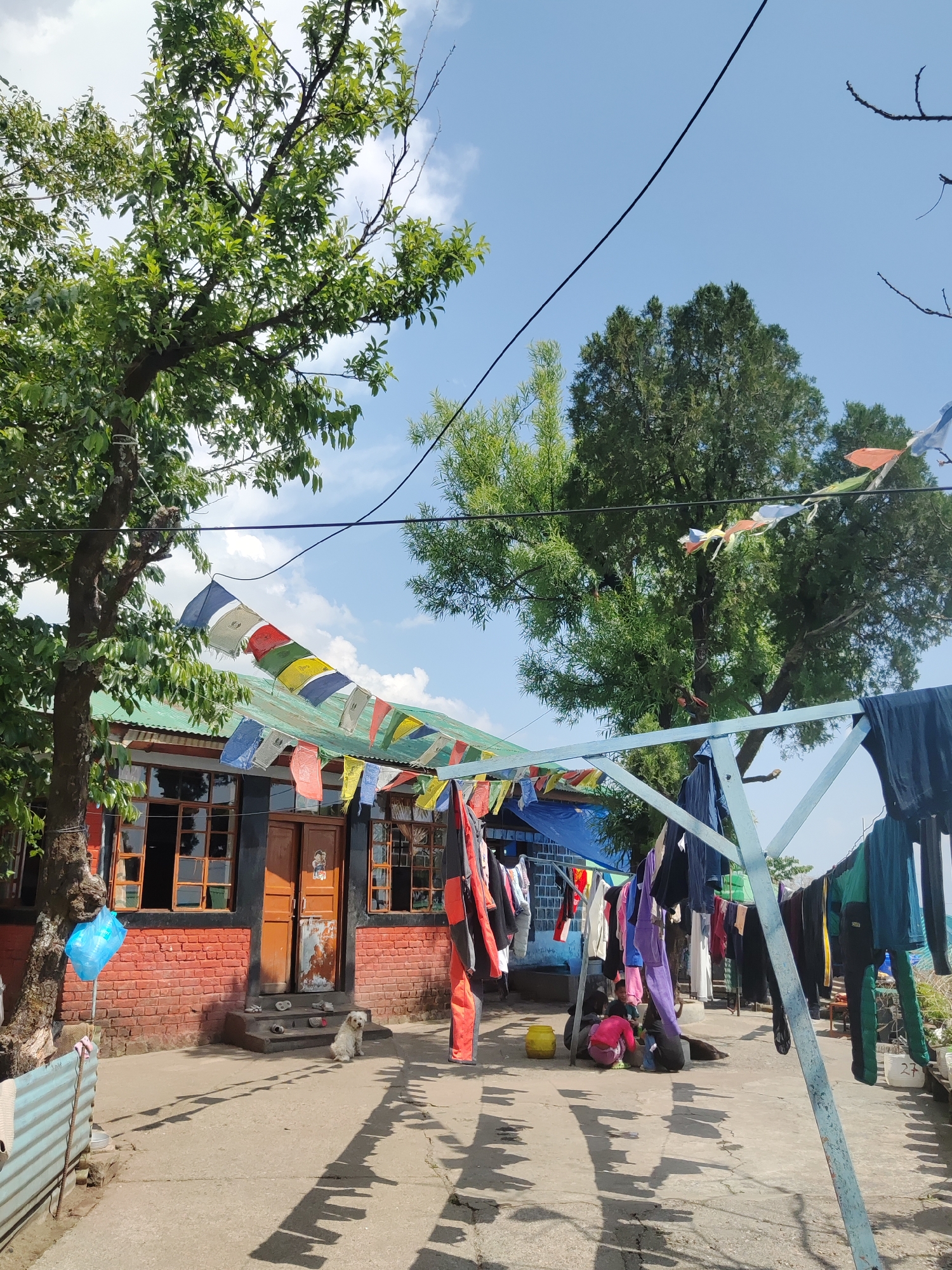 The image depicts a daytime scene outdoors, likely in a residential area in Unknown, Unknown. A small, red brick building with a green roof and multiple windows is visible in the background. Colorful prayer flags are strung above the building and across a blue metal clothesline frame, on which clothes are hanging. A white dog is sitting on the steps leading to the building's doorway. Shadows from the trees and clothesline are cast onto the paved ground. In the foreground, there is a group of children, possibly playing near the clothesline. A blue plastic balloon is attached to a brick wall near the building. Overhead, electrical wires run across the sky. Trees are interspersed throughout the scene.