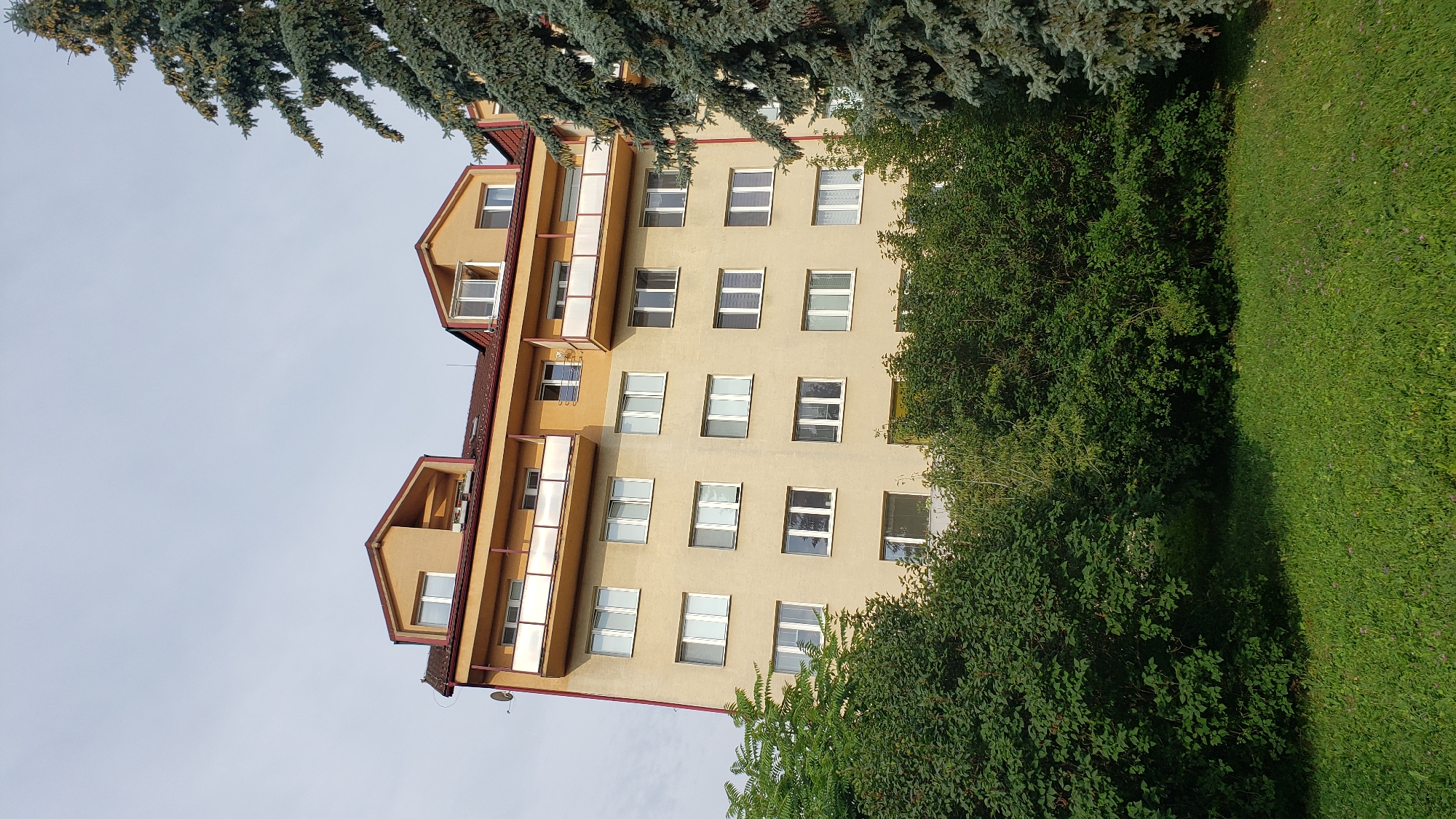 This is a vertical, outdoor, daytime photograph of a multi-story residential building with a yellow facade and a reddish-brown roof. The building has multiple balconies with white railings on the upper floors, and numerous white-framed windows of various sizes arranged in rows. Some windows have blinds. The roofline features dormer windows. In the foreground, there is a green lawn with scattered small purple flowers, and dense green bushes and trees partially obscure the lower portion of the building. A large, mature blue spruce tree is visible on the right side of the image, extending from the right edge. The sky is light blue with some wispy clouds. The building is likely located in Prešov, Slovakia, given the context.