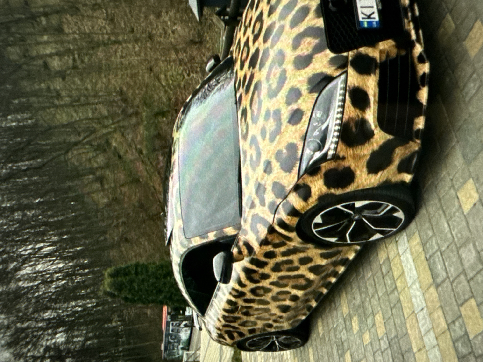 The image shows a leopard-print car parked on a brick-paved area. The background features trees, suggesting an outdoor setting. A small green bush is visible nearby. Another vehicle is parked some distance away. The location is in the city of Unknown, Unknown.