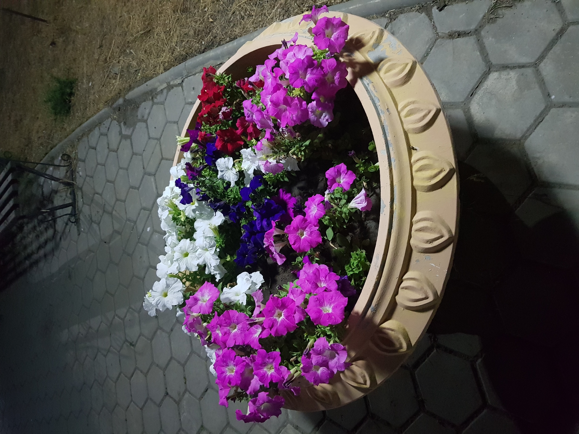 A large, beige, decorative planter filled with a variety of petunia flowers is situated outdoors. The flowers are in bloom, displaying shades of pink, white, deep purple, and red. The planter has a raised decorative pattern around its rim. The planter is placed on a paved surface made of hexagonal grey stones. To the right of the planter, dry, yellowed grass and a concrete curb are visible. In the background, a dark, metallic bench can be seen, along with shadows cast from an unseen light source. The scene appears to be in an urban outdoor setting, possibly a park or a public walkway in Kurchatov, Kazakhstan.