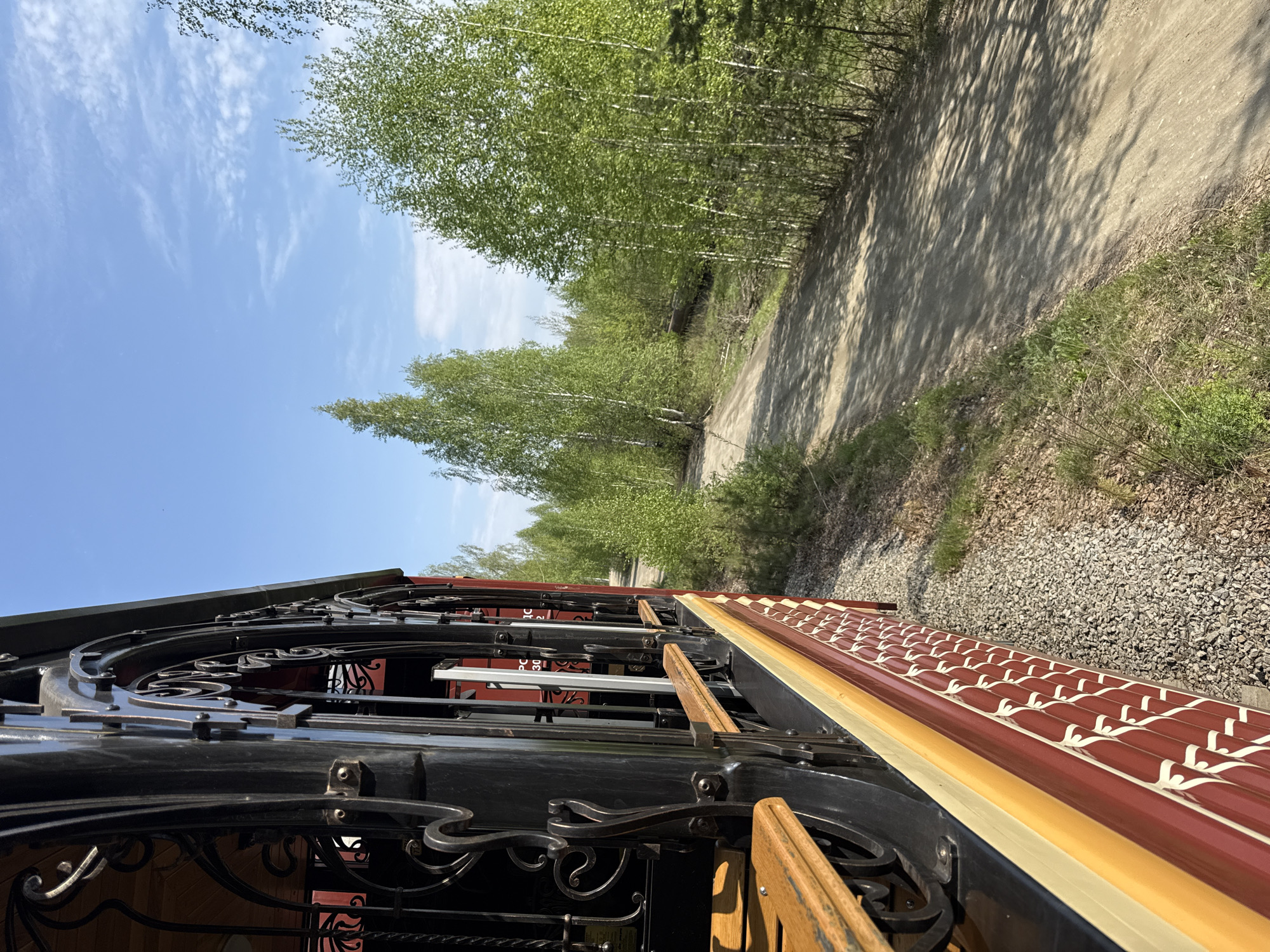 The photograph, taken in Verkhnyaya Pyshma, Russia, presents a view from inside a train car. The interior features ornate black metalwork with decorative swirls, alongside brown and yellow paneling. Outside the train, a gravel track runs parallel to the train car, leading to a dirt road bordered by a birch forest under a partly cloudy blue sky.