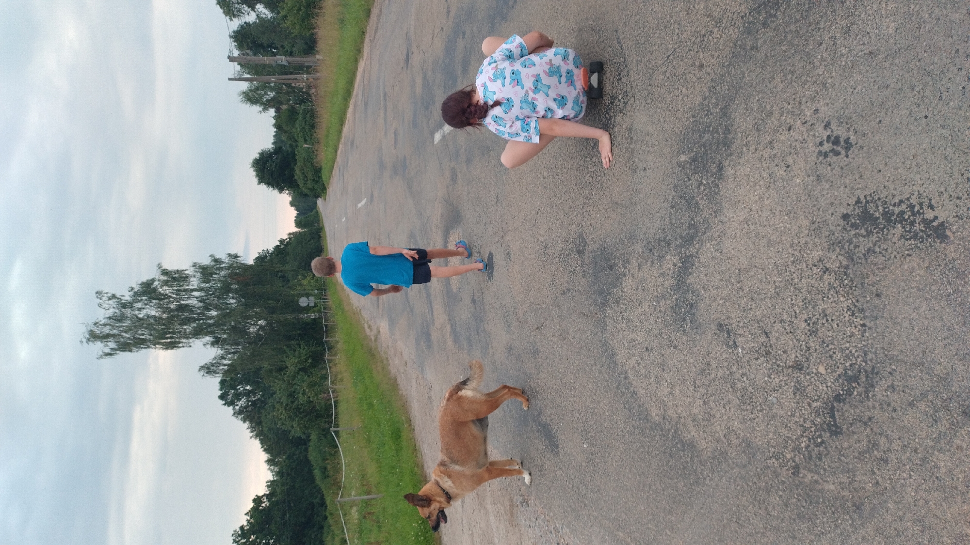 Two children and a dog are on an asphalt road. The dog, a medium-sized tan dog, is standing on the left side of the road, facing left. A young boy in a blue t-shirt and black shorts is walking away from the camera on the right side of the road. A young girl in a white t-shirt with blue cartoon characters on it is sitting on a skateboard facing away from the camera, also on the right side of the road. The road appears to be in a rural area, with trees and grass on either side. The sky is overcast.