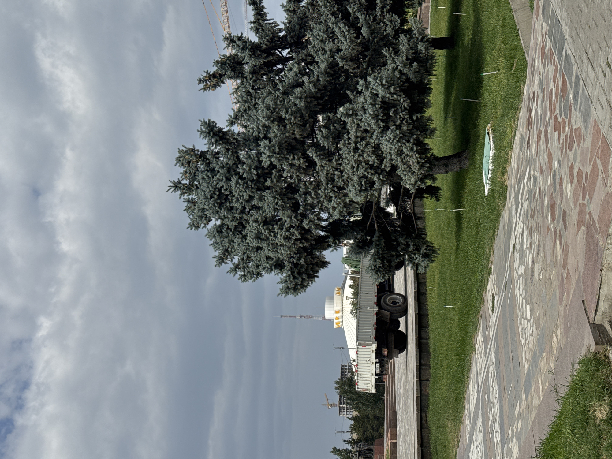 The image captures a view of Bishkek City, Kyrgyzstan, featuring a flatbed truck parked on a paved surface, laden with white sheeting. To the right of the truck, two large blue spruce trees dominate the foreground, their dense foliage casting shadows on the manicured green lawn. In the background, a circular building with a distinctive white roof adorned with yellow lettering is visible, along with a prominent telecommunications tower. Construction cranes and partially built structures suggest ongoing development in the area. The ground in front of the truck is a mosaic of stone tiles in shades of grey, pink, and red, bordered by grass. The sky above is overcast with grey clouds.