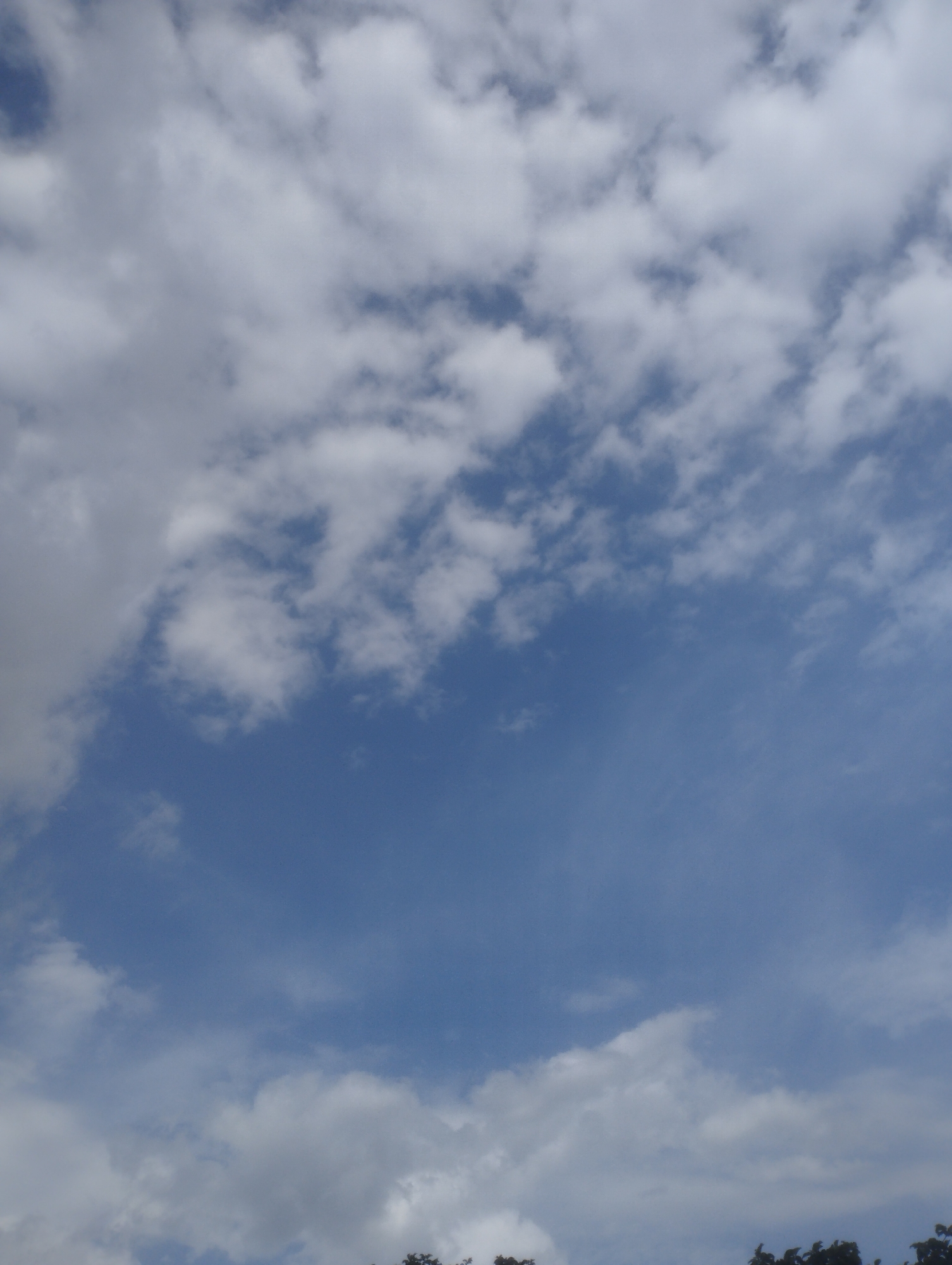 This media file captures a serene sky scene with scattered white clouds against a vibrant blue expanse. The clouds vary in density and form, some appearing wispy and delicate, while others are more substantial and puffy. The lower portion of the image hints at the presence of treetops, suggesting an outdoor, natural setting. The lighting and cloud formations imply it could be daytime, with no strong shadows indicating midday. The overall mood is peaceful and tranquil, evoking a sense of openness and calm. The image is a still photograph and contains no visible text. The context suggests the location is Jos, Nigeria.