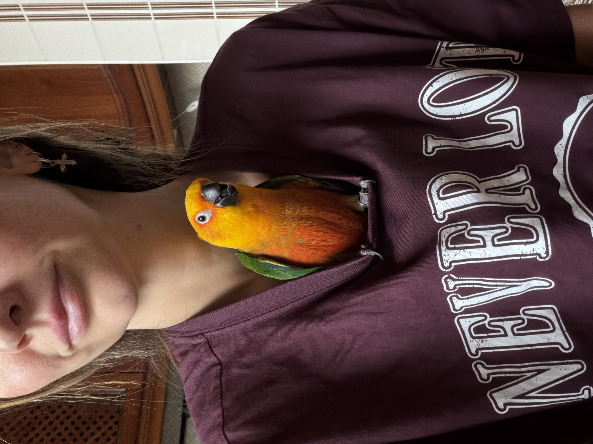 A close-up, slightly angled, color photograph shows a person wearing a maroon t-shirt with the word "NEVER" visible vertically in distressed white block letters. A bright orange and yellow parrot, likely a sun conure, is nestled inside the shirt's collar near the person's neck. Part of the person's face, including their mouth and nose, is visible. They have light skin and blonde hair. An earring in the shape of a cross is visible on their left ear. The background is slightly blurred, showing part of a wooden dresser and white blinds. The location of Khimki, Russia is not detectable from the image.