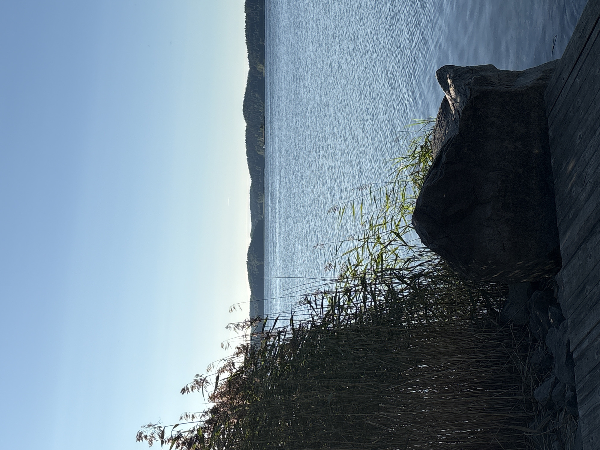 A wide shot captures a serene lake scene on a clear day. In the foreground, tall, dry reeds sway gently, casting shadows on a dark, rough-hewn boulder. A wooden platform, made of planks, is visible at the bottom of the frame, suggesting a dock or walkway. The lake stretches out, its surface rippling with a calm blue hue, meeting a distant, tree-covered shoreline under a vast, pale blue sky. No people are present in the image. The location is identified as Rautalakhti, Russia.