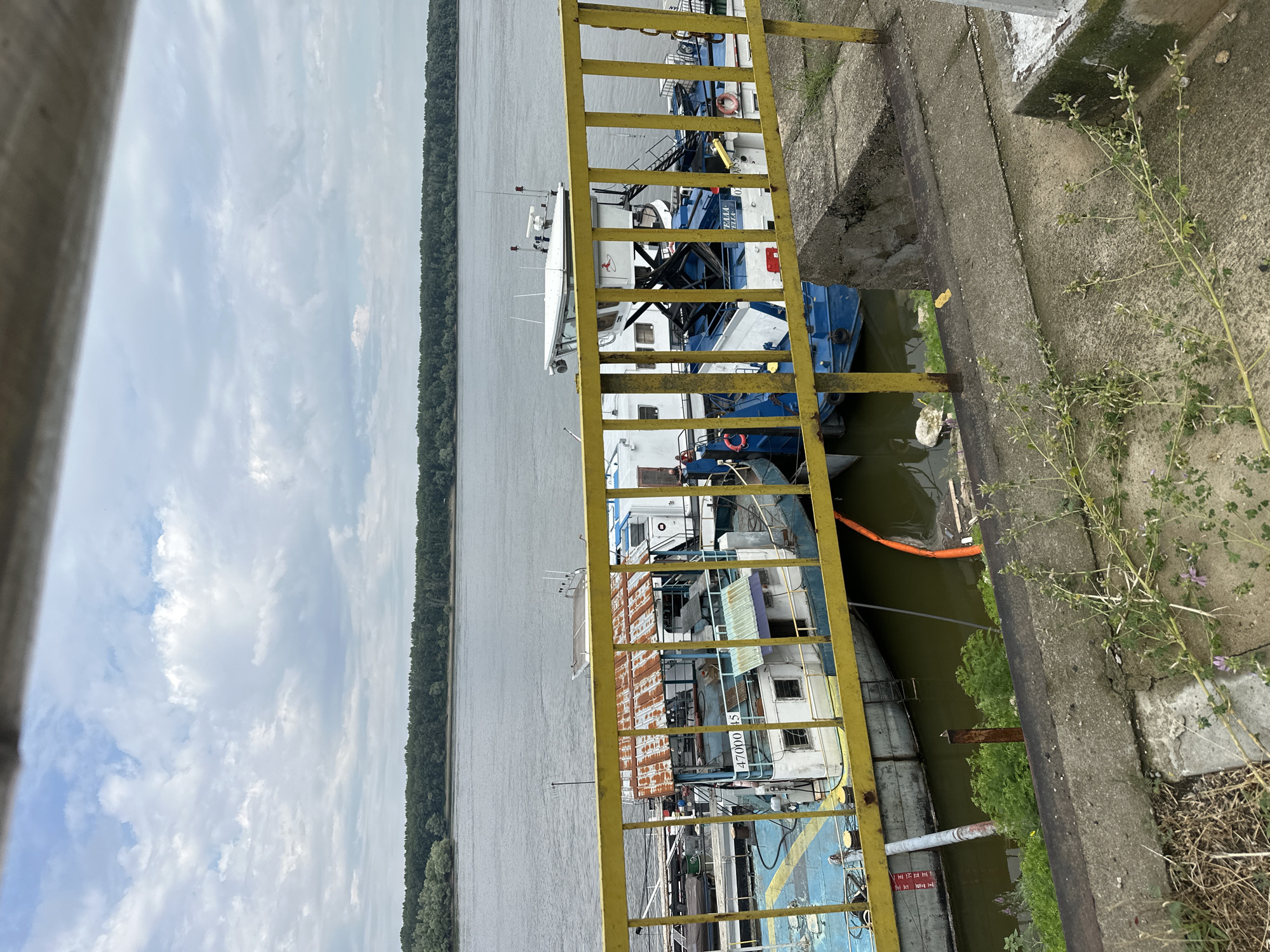 An elevated view of a body of water with several boats docked alongside a yellow metal railing. The boats are of varying sizes and designs, with some appearing to be cargo barges and others more specialized vessels. One barge in the foreground has a rusted metal roof over a cabin area, with the numbers "47000 45" visible on its side. Another boat, mostly white with blue accents, is docked next to it, featuring a raised cabin structure with radar equipment and lights. An orange hose or pipe is visible in the water between the boats. The background shows a dense line of trees along the opposite bank of the waterway, under a cloudy sky. The foreground consists of a concrete embankment with sparse vegetation and the yellow railing. The scene appears to be a port or industrial area along a river. The location is identified as Marten, Bulgaria.