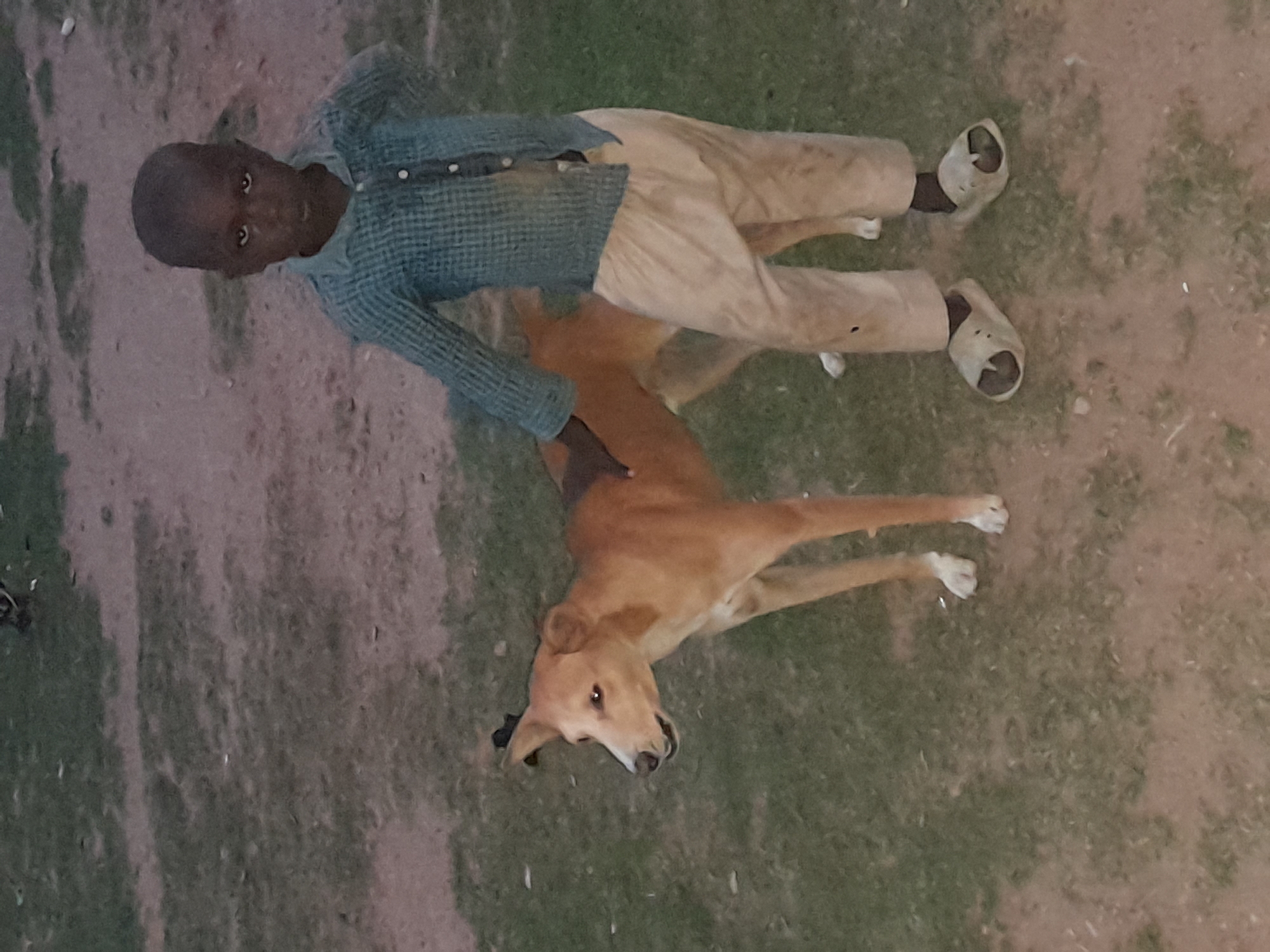 A young boy with dark skin stands to the right of a tan-colored dog. The boy is wearing a blue checkered shirt and light-colored pants, along with light-colored sandals. His left arm is resting on the dog's back. The dog is facing left with its mouth slightly open. They are standing on a mix of dirt and grass, indicative of an outdoor setting in a rural or semi-rural area, such as a village or the outskirts of a city like Narayi, Nigeria. The ground is uneven, with patches of dry soil and sparse green vegetation. The lighting suggests it may be dusk or an overcast day.