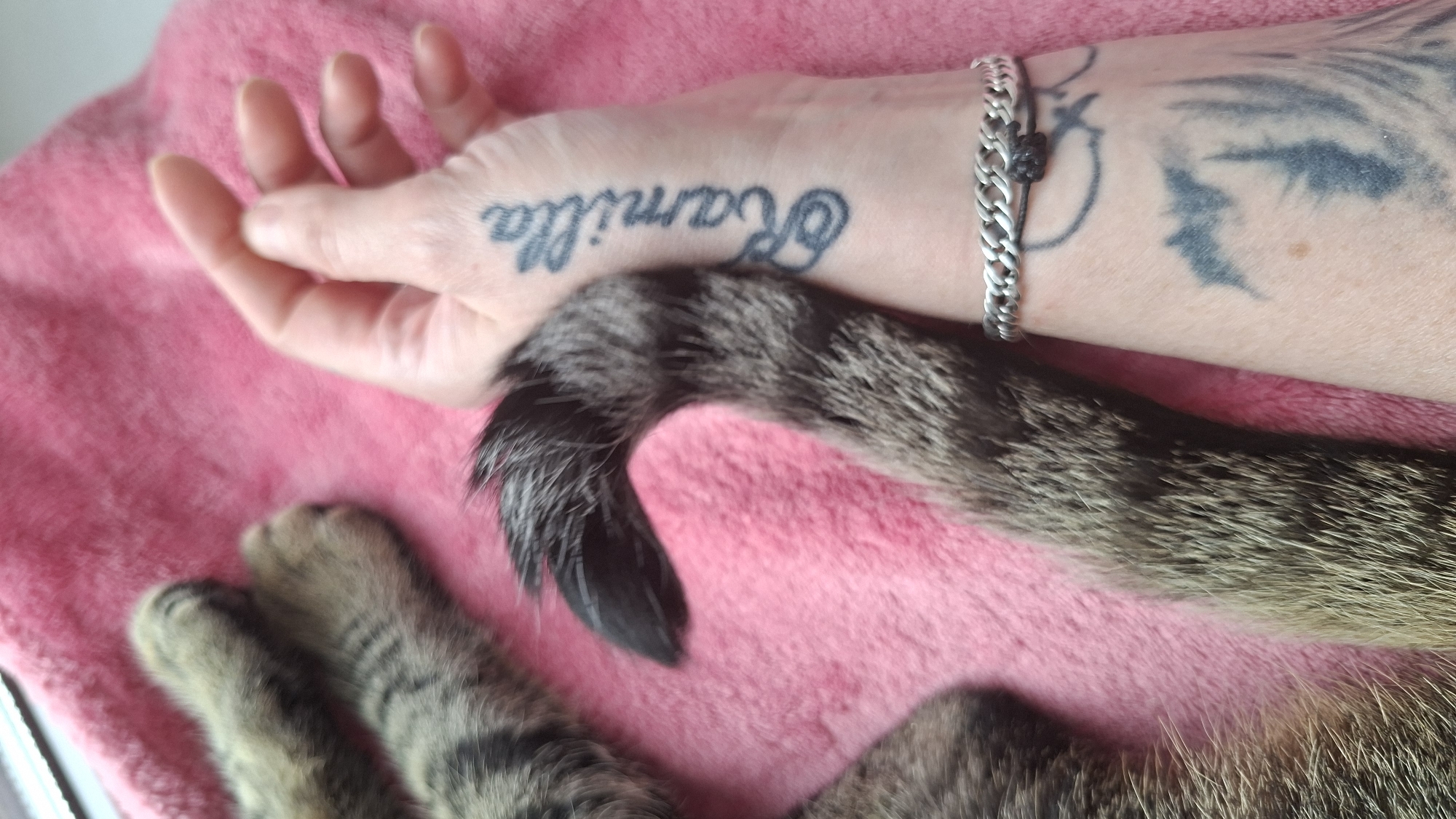 This is a close-up, top-down shot of a person's arm and a cat's paws and tail resting on a pink fuzzy blanket. The person's arm has several tattoos, including the name "Kamilla" written in script on the wrist and a larger, shadowy design on the forearm that appears to be a stylized animal face or pattern. A silver curb chain bracelet with a dark knot detail is worn on the wrist. The cat's paws, which are gray and black striped, are visible on the left side of the frame, and its tail, also striped, curves across the arm. The background is a soft, pink, fuzzy textile. The scene appears to be indoors, as indicated by the blanket and the indoor lighting. The location of Забалоцкі сельскі Савет, Belarus, is not depicted in this image.