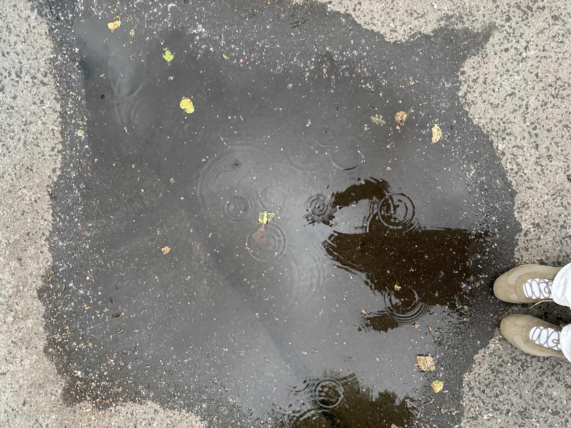 An overhead shot shows a puddle on a paved surface, likely a sidewalk or street in Saint Petersburg, Russia, as indicated by the specific location information. The puddle is dark and reflects a shadowy silhouette of a person, suggesting they are standing nearby. Small, concentric ripples are visible on the surface of the water, indicating recent rainfall. Scattered throughout the puddle and on the surrounding pavement are fallen leaves, some of which are yellow and green, and small specks of debris, possibly dirt or gravel. At the bottom of the frame, a pair of light-colored sneakers with white laces are visible, belonging to the person whose shadow is cast in the puddle. The pavement surrounding the puddle is coarse and gray, with patches of lighter aggregate.