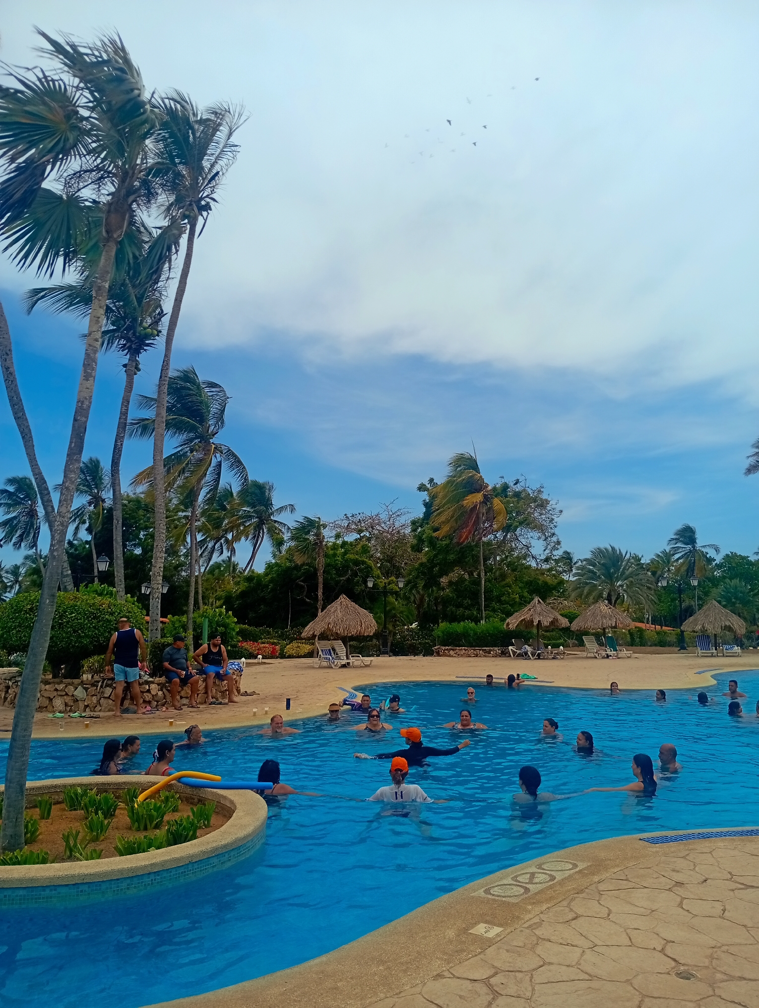 The image depicts a sunny scene at a swimming pool in Playa El Agua, Venezuela. A group of people are in the pool, some swimming and others standing in shallow water. Several palm trees surround the pool, providing shade. There are also some thatched umbrellas and lounge chairs on the pool deck. Some people are sitting on a retaining wall at the pool’s edge. The sky is blue with scattered clouds, and some birds are flying overhead.