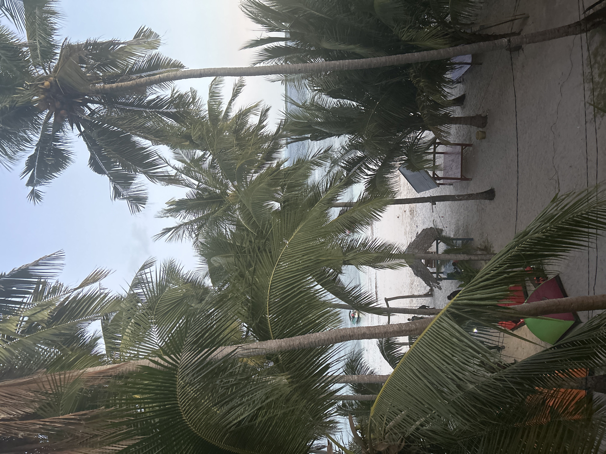 The image depicts a tropical beach scene in A R A, Indonesia, characterized by numerous tall palm trees with lush green fronds framing the view. The sand is light in color, and the ocean is visible in the background with calm, blue water. There are several small structures on the beach, including what appear to be huts or shelters with thatched roofs, and a simple wooden beach chair. In the distance, a small boat with people in it is on the water. Closer to the foreground, there are brightly colored objects that might be tents or beach mats, and a few people are scattered on the sand, some appearing to be walking or sitting. The lighting suggests it is either early morning or late afternoon, with soft, diffused light, and the sky is a pale blue with some clouds. The overall atmosphere is relaxed and serene, conveying a sense of a peaceful tropical getaway. There is no visible text in the image.