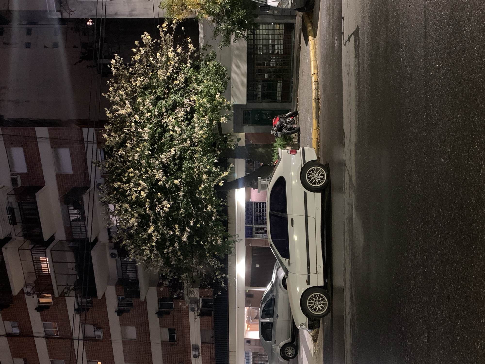 The image captures an urban street scene at night in Buenos Aires, Argentina. A white car and a light-grey vehicle are parked side-by-side along the right edge of the street. A motorcycle lies on its side next to the parked cars. A flowering tree stands between the building and the vehicles. A multi-story brick building with balconies and windows is visible to the left. The street appears wet, reflecting the ambient light. The street is bordered by a curb painted yellow. Overhead wires are visible between the buildings.