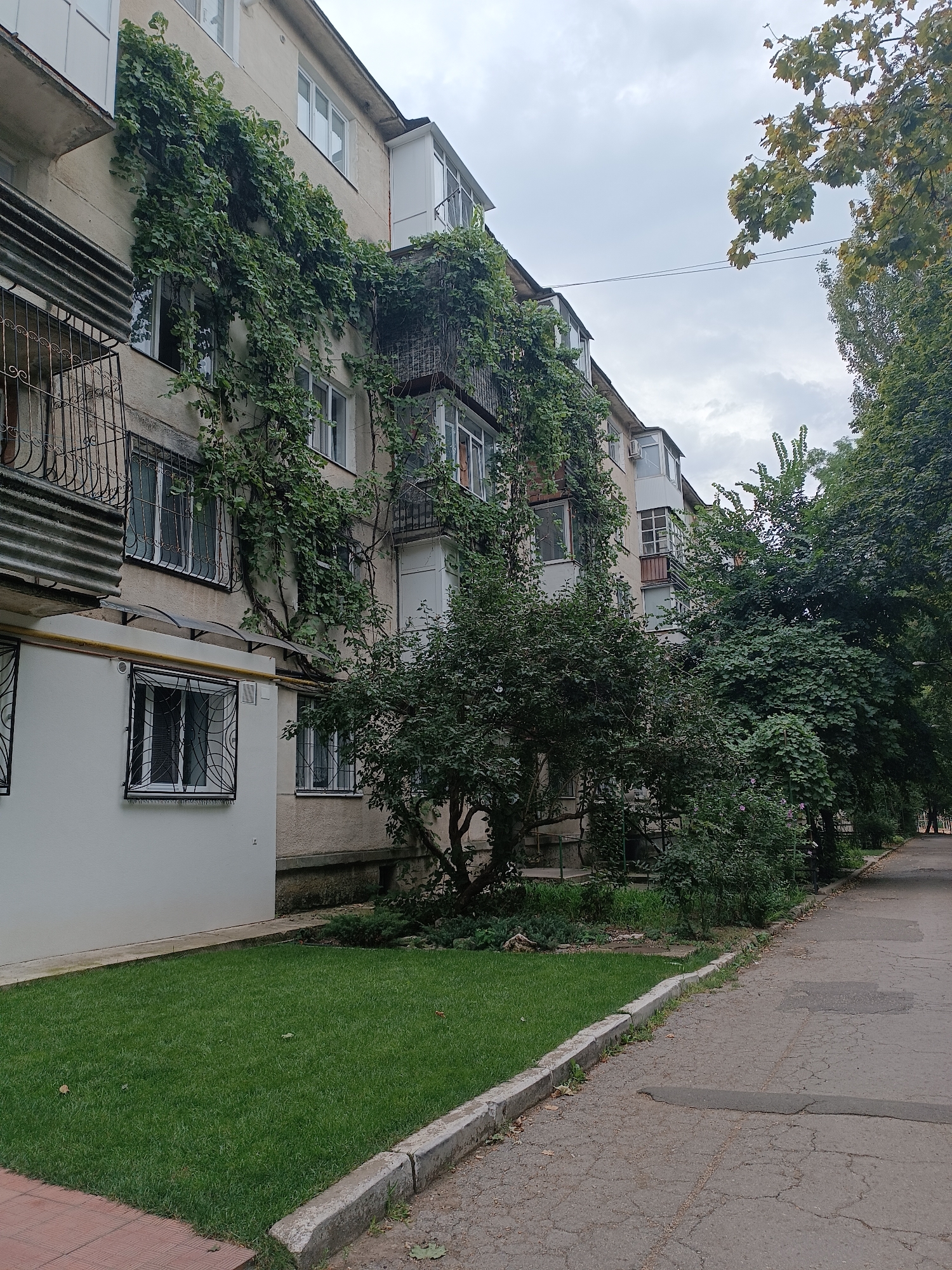 The image depicts the exterior of a multi-story apartment building in Chișinău, Moldova, on a cloudy day. The building, with a cream-colored facade, has several windows, some with decorative metal grilles. Lush green ivy climbs extensively up the side of the building, covering a significant portion of its walls and balconies. In front of the building, there is a neatly mowed patch of grass bordered by a concrete curb and a tiled pathway. Adjacent to the grass, a paved sidewalk runs alongside a row of mature trees with dense green foliage. The overall impression is one of an urban residential setting with significant greenery integrated into the architecture.