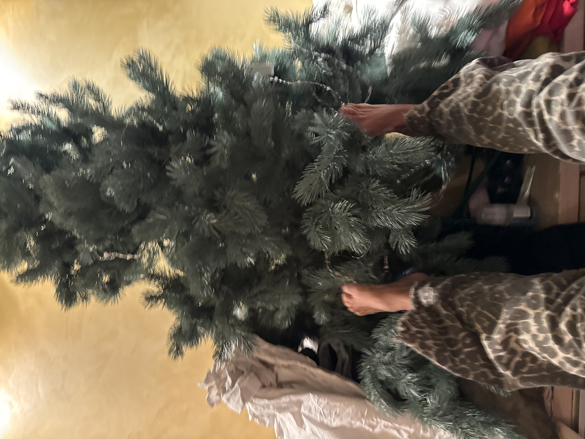 The image shows a first-person perspective of someone's feet and lower legs positioned amidst the branches of a large, artificial Christmas tree. The person is wearing leopard-print pajama bottoms. The background is a textured yellow wall, possibly with a light source casting a warm glow. The scene appears to be indoors, likely in a residential setting, and is set against the backdrop of Odesa, Ukraine, though specific Odesa landmarks are not visible. The Christmas tree is partially assembled or disassembled, with some white material, possibly a tree skirt or sheeting, draped over the branches on the left side. The overall impression is one of casual, domestic activity related to holiday preparations or storage.