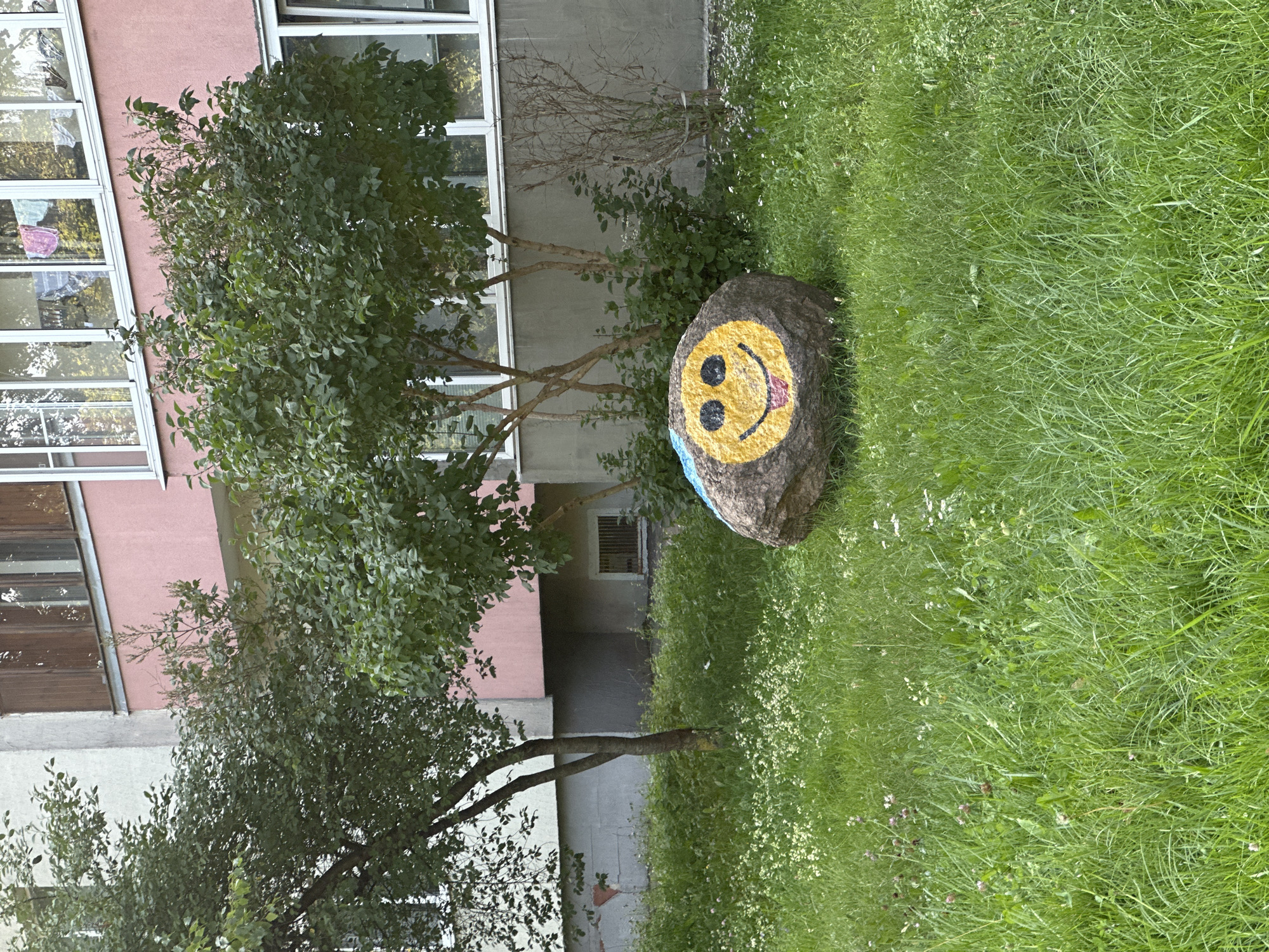 The image depicts a rock painted with a smiley face, situated in a grassy area with small white flowers. In the background, there is a building with a pink and grey facade and windows. The scene is an outdoor urban environment, likely a courtyard or park area.