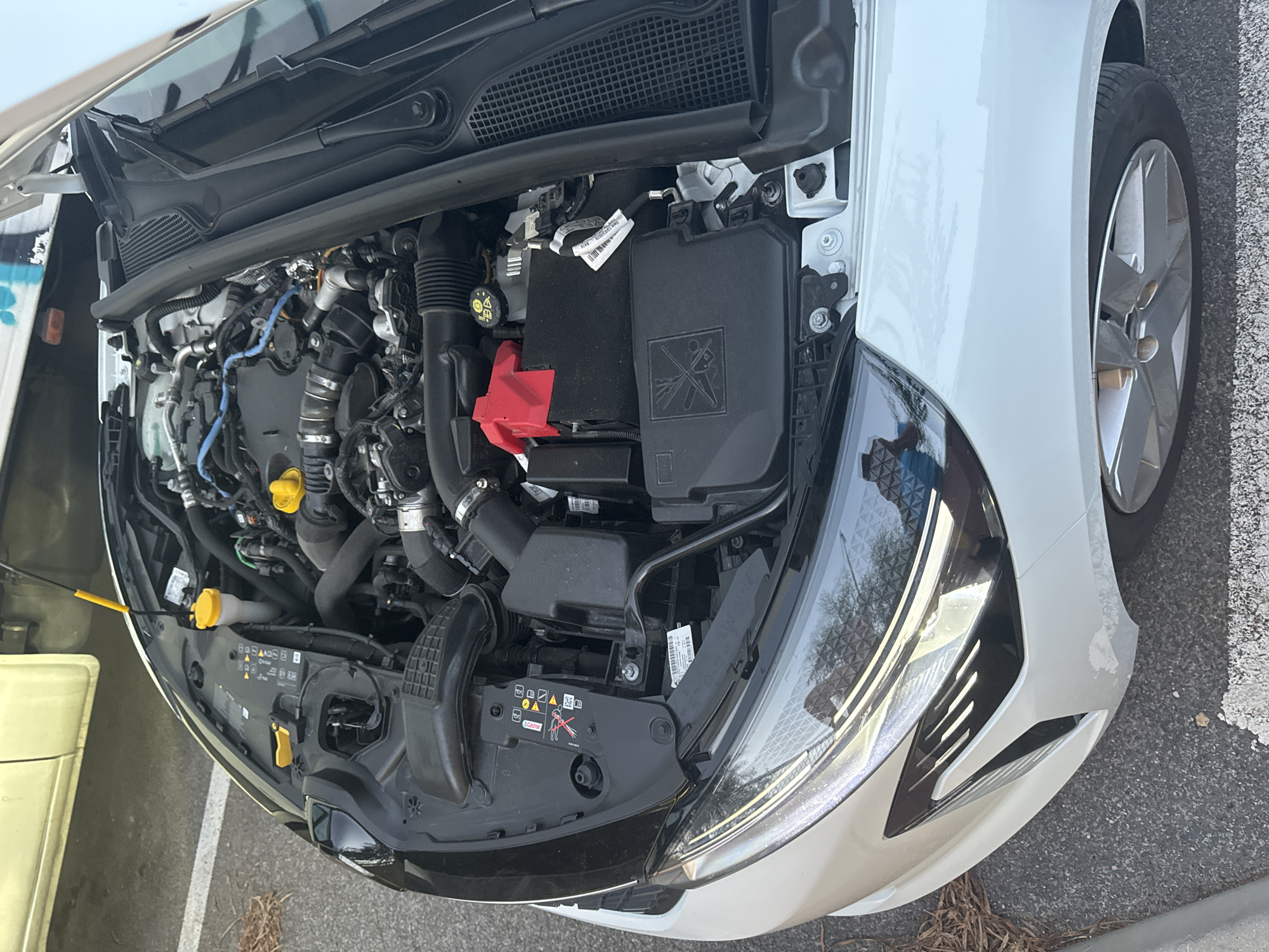 The image shows a close-up, high-angle view of the engine bay of a white car with its hood open. The engine compartment is filled with various engine components, including hoses, wires, and the battery, which has a red cover. The car is parked on an asphalt surface, possibly a parking lot, with some dry leaves scattered on the ground. In the background, another vehicle, a light-colored van or truck, is partially visible. The scene appears to be outdoors during daylight. There are no people visible in the image, and no actions are being performed. The overall impression is that of an automotive inspection or maintenance. The image location is identified as Murcia, Spain.