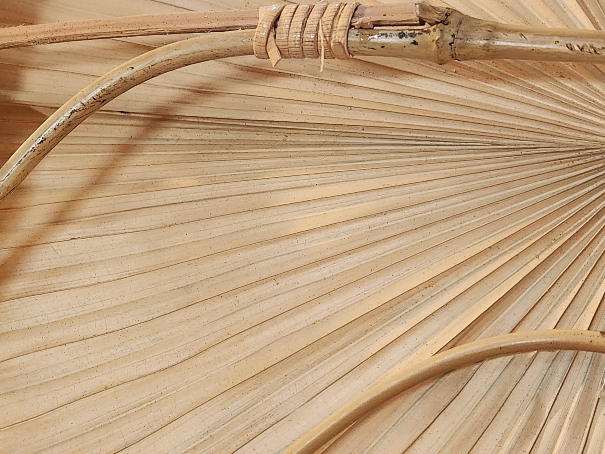 The image presents a close-up, overhead view of a woven rattan chair in Maitland, Florida. The chair's back is constructed from dried palm fronds, arranged in a fanned pattern radiating outwards from a central point. Two curved rattan poles form the sides of the chair's back, with one pole, on the right side of the image, featuring several bands of material wrapped around it. The color palette is predominantly neutral, with shades of beige, tan, and light brown. The lighting suggests a natural, diffused light source, casting subtle shadows. The overall impression is one of natural textures and organic forms.
