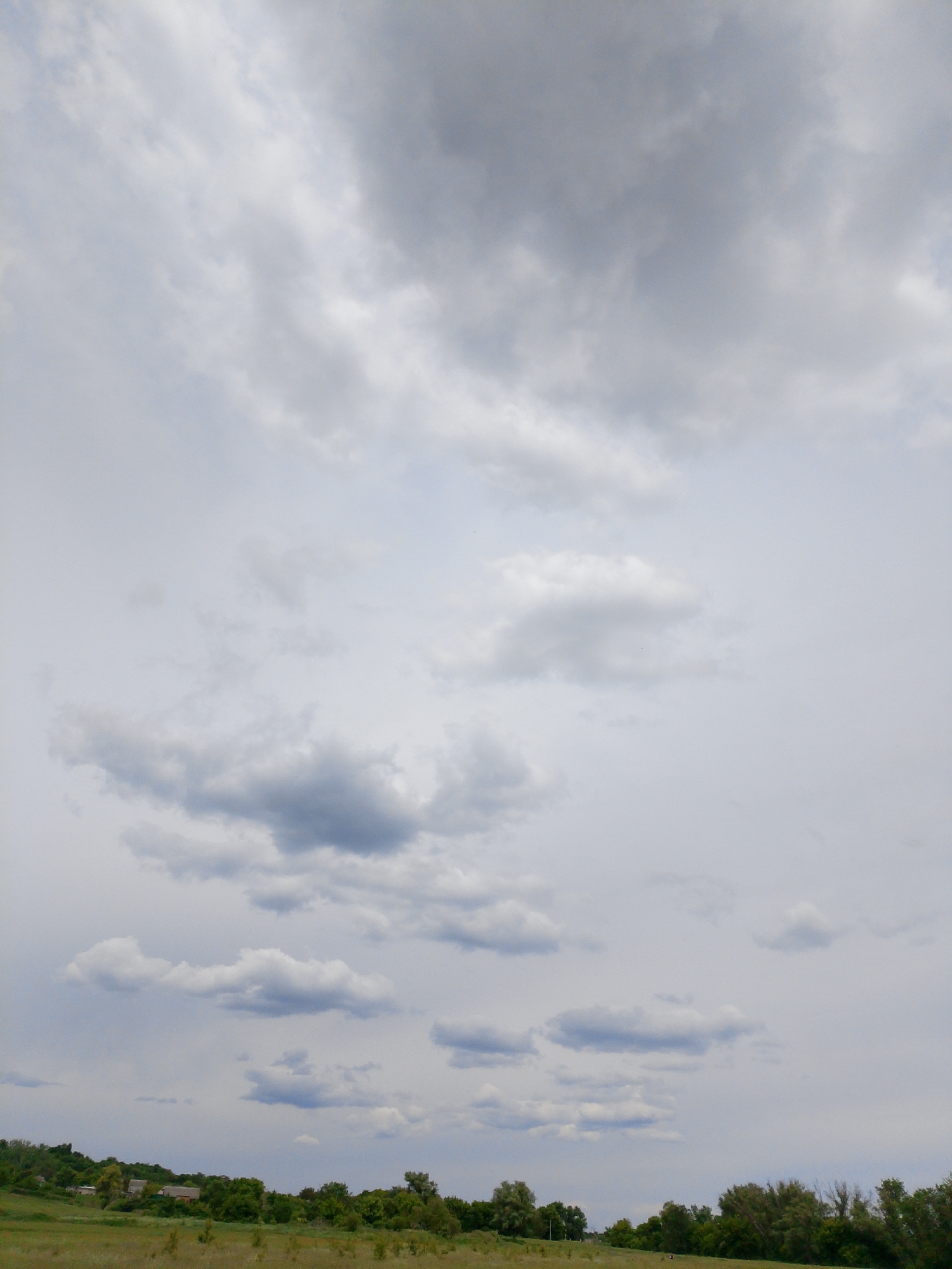The image captures a wide-angle view of a cloudy sky above a distant, green landscape. The upper two-thirds of the frame are dominated by an expanse of clouds, ranging in color from light grey to a deeper, more ominous grey, suggesting an overcast or partly cloudy day. Some clouds are wispy and scattered, while others are larger and more defined, creating a textured ceiling across the sky.
The bottom third of the image shows a rural or semi-rural landscape. A rolling field, predominantly green with hints of dry brown grass, stretches across the foreground and mid-ground. Dense clusters of trees, varying in shades of green, form a prominent line along the horizon, obscuring much of what lies beyond. On the left side of the landscape, nestled among the trees on a gentle slope, are a few small, distant buildings or houses with muted colors, blending into the environment. The overall impression is one of a calm, perhaps slightly melancholic, daytime scene, possibly indicating impending rain or just a heavily clouded day.
No people or explicit objects of human origin are discernible, other than the distant structures. No activity is taking place within the frame. The time of day appears to be daytime, with soft, diffused light, suggesting late morning or afternoon. The weather is overcast or heavily cloudy. There are no identifiable location cues, and no visible text in the image.