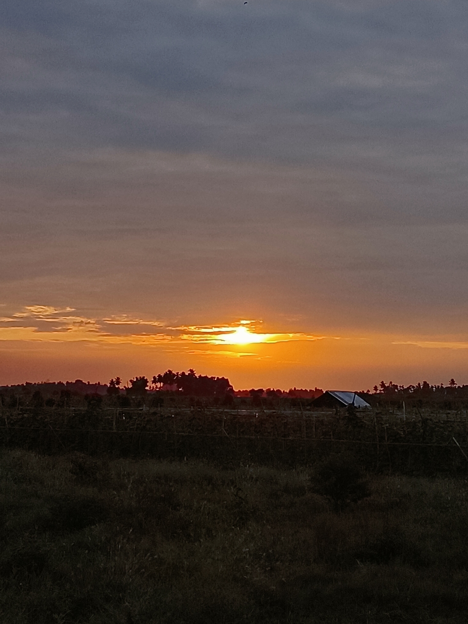 An outdoor, horizontal, medium shot captures a sunset in Meunasah Raya, Indonesia. The sky is a gradient of grey and orange clouds, with the sun peeking through, casting a bright orange glow. In the mid-ground, a line of silhouetted trees and vegetation stretches across the frame. A small, dark-colored structure with a white roof is visible amongst the trees on the right side of the image. The foreground is dominated by a dark, uncultivated field.