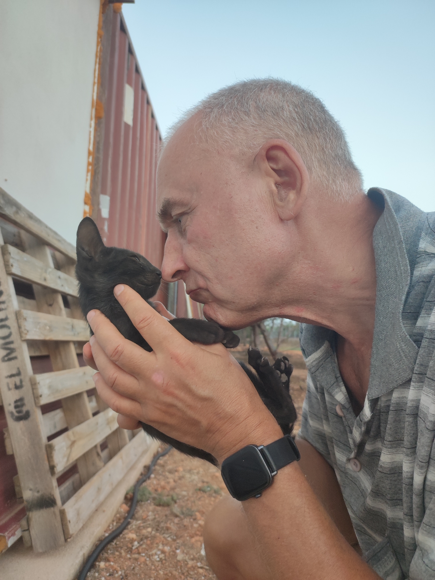 A man with thinning grey hair and a grey and white striped collared shirt is holding a small black kitten. The man is leaning in and appears to be kissing or nuzzling the kitten's head. The kitten is black with its eyes closed and is being held in the man's hands. Behind them, there is a portion of a red shipping container, a wooden pallet, and a light blue sky. The ground appears to be dirt and gravel. The scene is likely outdoors, with a rustic or industrial backdrop. The location is in Alcàsser, Spain.