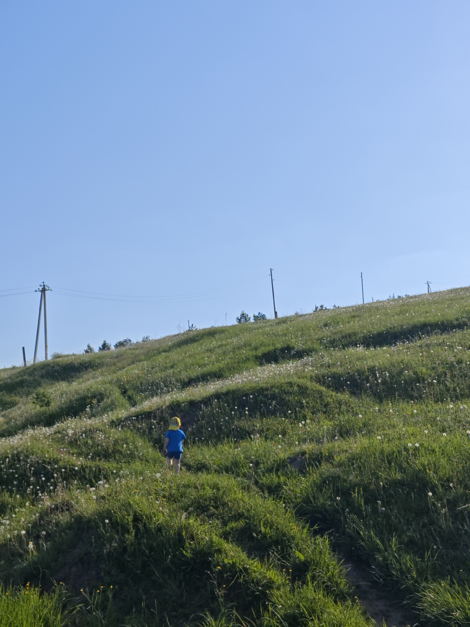 A full shot captures a child from behind, wearing a blue shirt, blue shorts, and a yellow cap, walking uphill on a grassy slope. The hill is covered in green grass speckled with white dandelions. In the background, there is a clear blue sky. Utility poles with wires extend across the top of the hill. Patches of trees are visible along the hillside. The location is Фоки, Russia.
