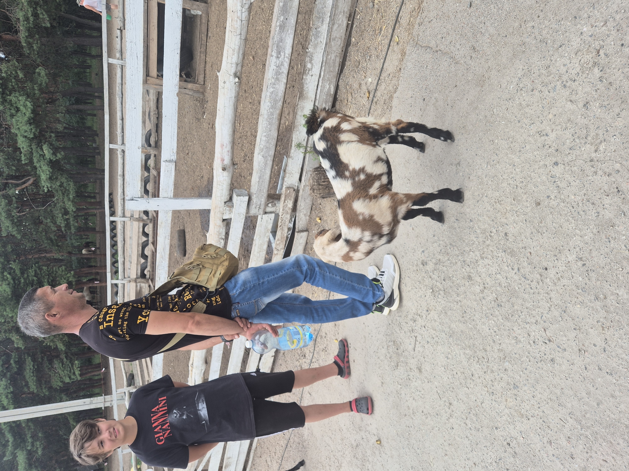 This image captures an outdoor scene, likely at a farm or petting zoo, with a father and son observing a young goat. The father, wearing a black t-shirt with yellow text, blue jeans, and a khaki shoulder bag, stands to the right, holding a plastic bottle of water. His son, to the left, is dressed in a black t-shirt with a graphic and black shorts, wearing grey crocs with pink accents. Both are standing on a gravelly path. The goat, a young animal with a brown, black, and white patterned coat, stands facing away from the camera, its attention seemingly directed towards something off-frame to the right. Behind them, a white wooden fence encloses a sandy enclosure with some scattered hay and what appear to be old tires. In the background, a dense line of pine trees suggests a wooded area. The sky is overcast. The provided hints do not contain any specific information about the location being Kropyvnytskyi, Ukraine.