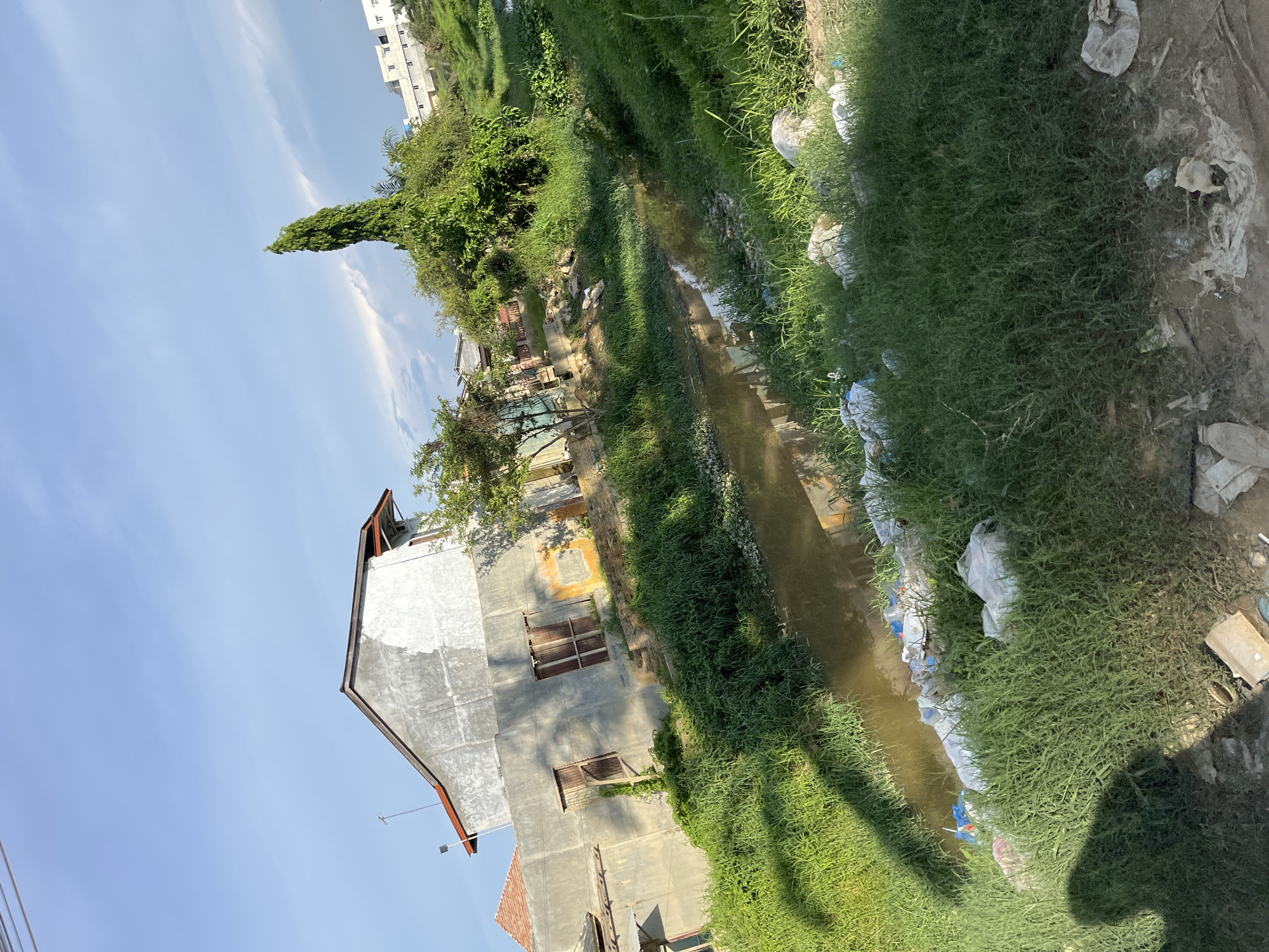 This is a photograph taken outdoors on a sunny day in Landuh, Indonesia. The image shows a small, muddy stream running through a grassy area. There are several houses visible in the background, some of which appear to be in disrepair. There is also a significant amount of trash and debris scattered along the banks of the stream and in the surrounding vegetation. The sky is blue with some scattered clouds. A tall, slender tree stands prominently in the middle ground. The overall impression is one of a somewhat neglected urban or semi-urban environment.