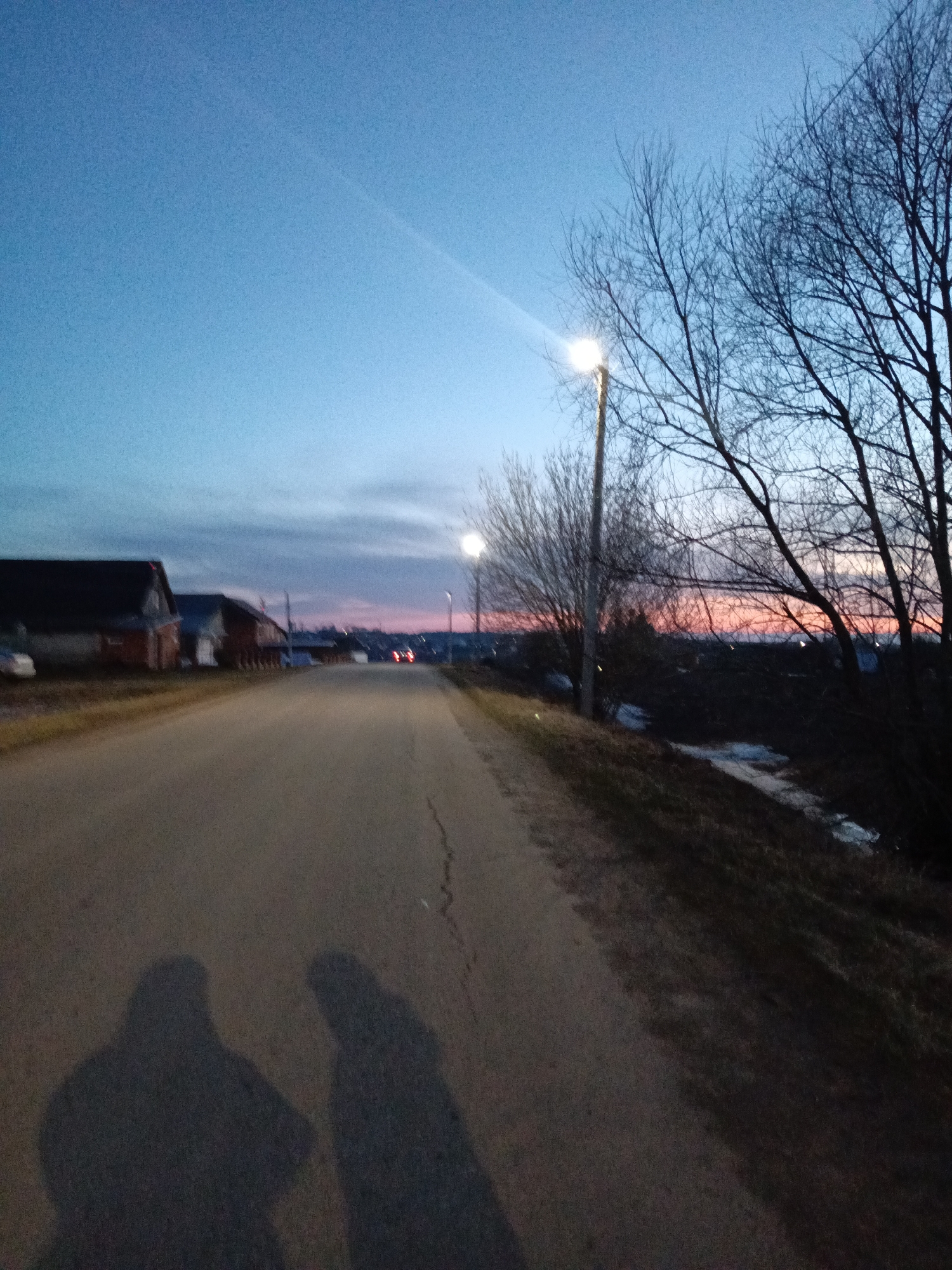 The image shows an asphalt road leading through a residential area in Фоки, Russia, at dusk. Streetlights illuminate the scene, casting a glow on the road and bare trees lining the right side. Houses are visible to the left. The sky transitions from blue to a faint pink on the horizon. Two blurry shadows are cast on the road, indicating the presence of two individuals. A small patch of snow is visible on the right side of the road, adjacent to a grassy area.