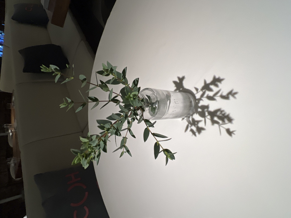 A static, interior scene depicts a close-up view of a dining establishment table. A prominent round, white table surface fills the foreground and mid-ground. Centered on the table is a clear, cylindrical glass vase, textured with fine vertical ridges on its lower half, containing water and several branches of a green, leafy plant, likely eucalyptus, characterized by numerous small, oval, greenish-blue leaves. A distinct light source from the upper-left casts sharp, detailed shadows of the vase and plant branches onto the white table, extending towards the lower-right. In the blurred background, a long, light beige upholstered banquette seating arrangement is visible. A dark grey cushion with a red, stylized "SOH" logo is positioned on the left side of the banquette. Another dark cushion is visible further along the seating. No people or active interactions are present in the image. This scene is located within the SOHN restaurant at Ulitsa Rubinshteina, 16, Tsentralny District, Saint Petersburg, Russia.