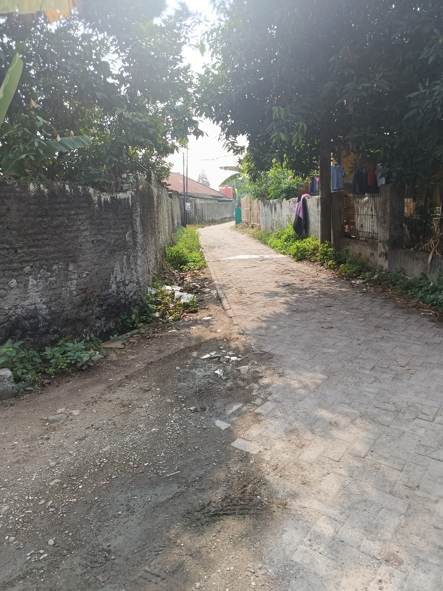 The image depicts a narrow, paved alleyway in the city of Balaraja, Indonesia, bordered by concrete walls and lush vegetation. On the left, a rough, textured concrete wall, partially overgrown with green plants and debris, runs along the unpaved edge of the alley. To the right, the alley is paved with rectangular grey bricks laid in a herringbone pattern, with patches of dirt and gravel scattered on its surface. Sunlight dapples the paved section, casting shadows from the trees that arch overhead.
The alley appears to be in a residential area. The houses visible in the background have red-tiled roofs. A clothesline with several garments hangs from a structure on the right side of the alley. The overall scene suggests a modest, somewhat unkempt but lived-in urban environment. No people are visible in the frame, and the environment appears still and quiet. The atmosphere is typical of a warm, sunny day in Southeast Asia.