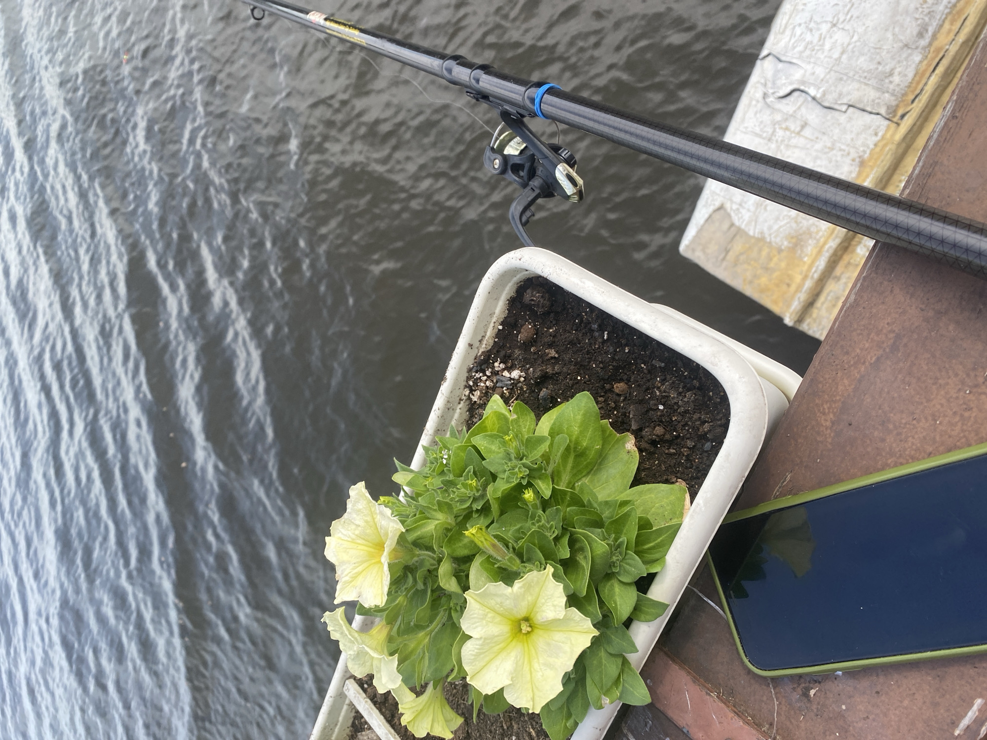 The image shows a fishing rod resting on a concrete or stone structure near a body of water. Attached to the rod is a fishing reel. A white planter box filled with soil and light yellow petunia flowers sits beside the rod. Next to the planter, a smartphone with a green case is lying face-up. The water shows ripples, indicating slight wind. It is impossible to confirm the location is in the city of Chaikovsky, Russia from the image.