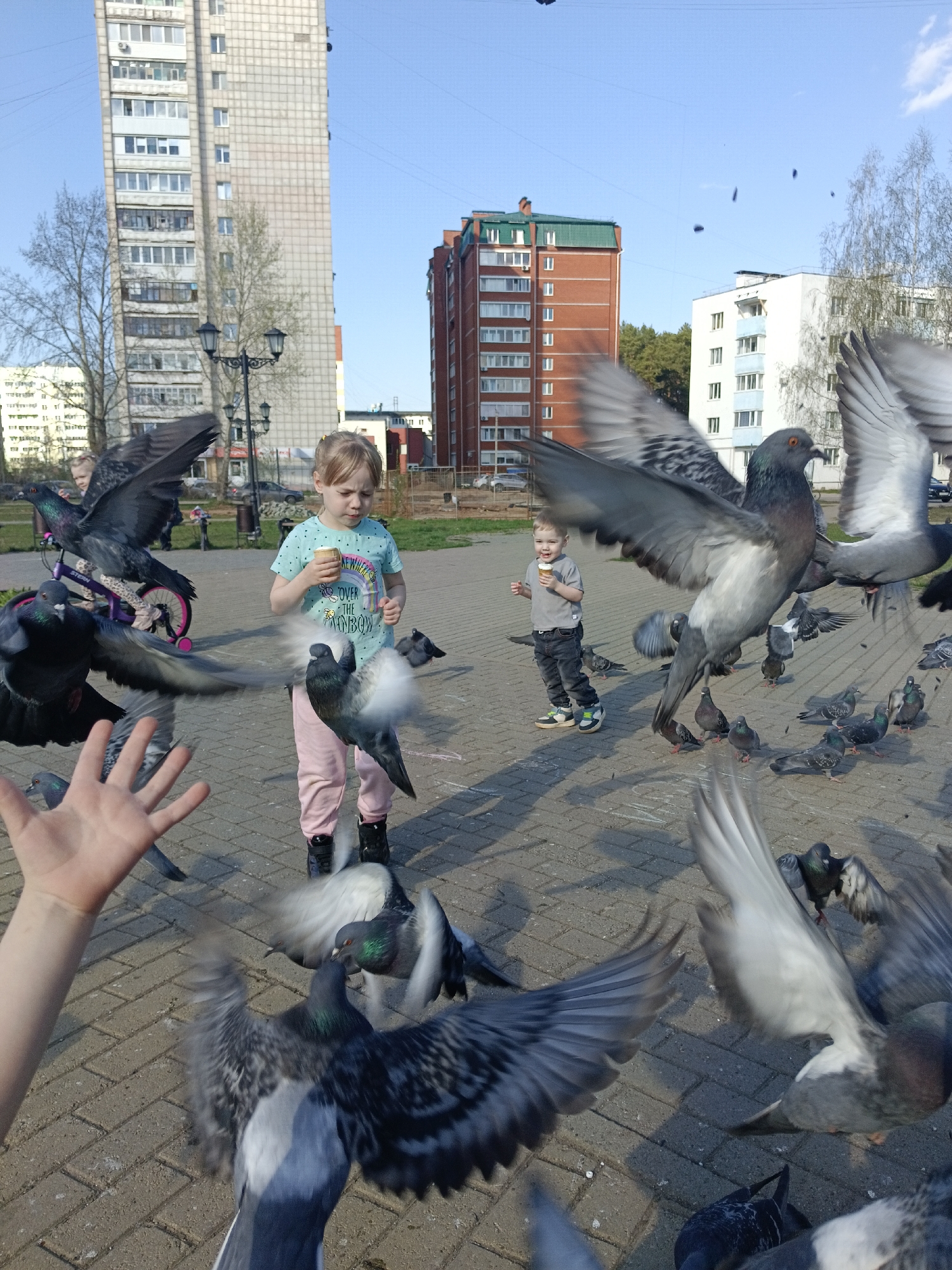 The image captures a scene in what appears to be a paved square in the city of Chaikovsky, Russia. Two young children, a girl and a boy, are the main subjects. The girl, wearing a light blue t-shirt and pink pants, holds a snack in her hand. A young boy, wearing a grey t-shirt and denim pants, stands behind the girl and is also holding food.
The surrounding area is teeming with pigeons. Many are on the ground, while others are in mid-flight, creating a dynamic and chaotic feel. An arm and hand are extended into the scene from the lower-left corner of the image.
In the background, buildings and trees suggest an urban park setting. The sky is clear and blue. Street lamps are visible in the background. Other people are present in the distance, one of whom is riding a bicycle. The scene appears to be a sunny, public space where people interact with the local bird population.