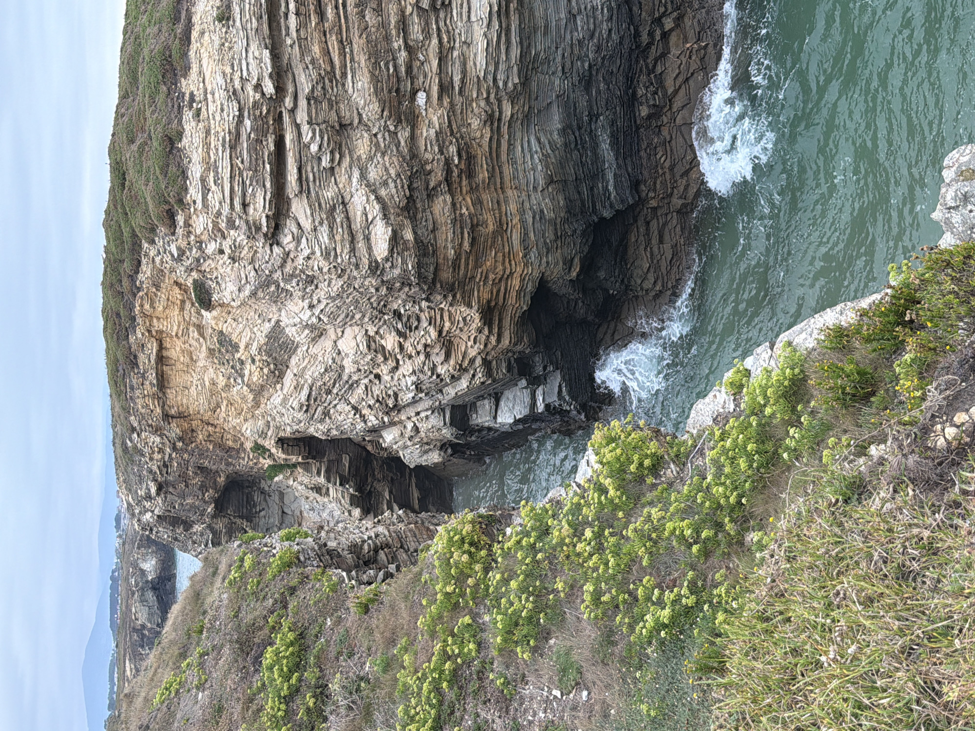This is a landscape photograph of a rugged coastline in Ribadeo, Spain. The image captures a narrow inlet with turquoise water, flanked by steep, layered rock cliffs. Green vegetation, including grasses and flowering plants, covers the tops and sides of the cliffs. The water is slightly choppy, with white foam visible where it meets the rocks. The sky is overcast, and in the distance, faint hills and buildings are visible. The composition is a vertical shot, emphasizing the depth of the inlet and the height of the cliffs. There are no people or animals visible in the image.