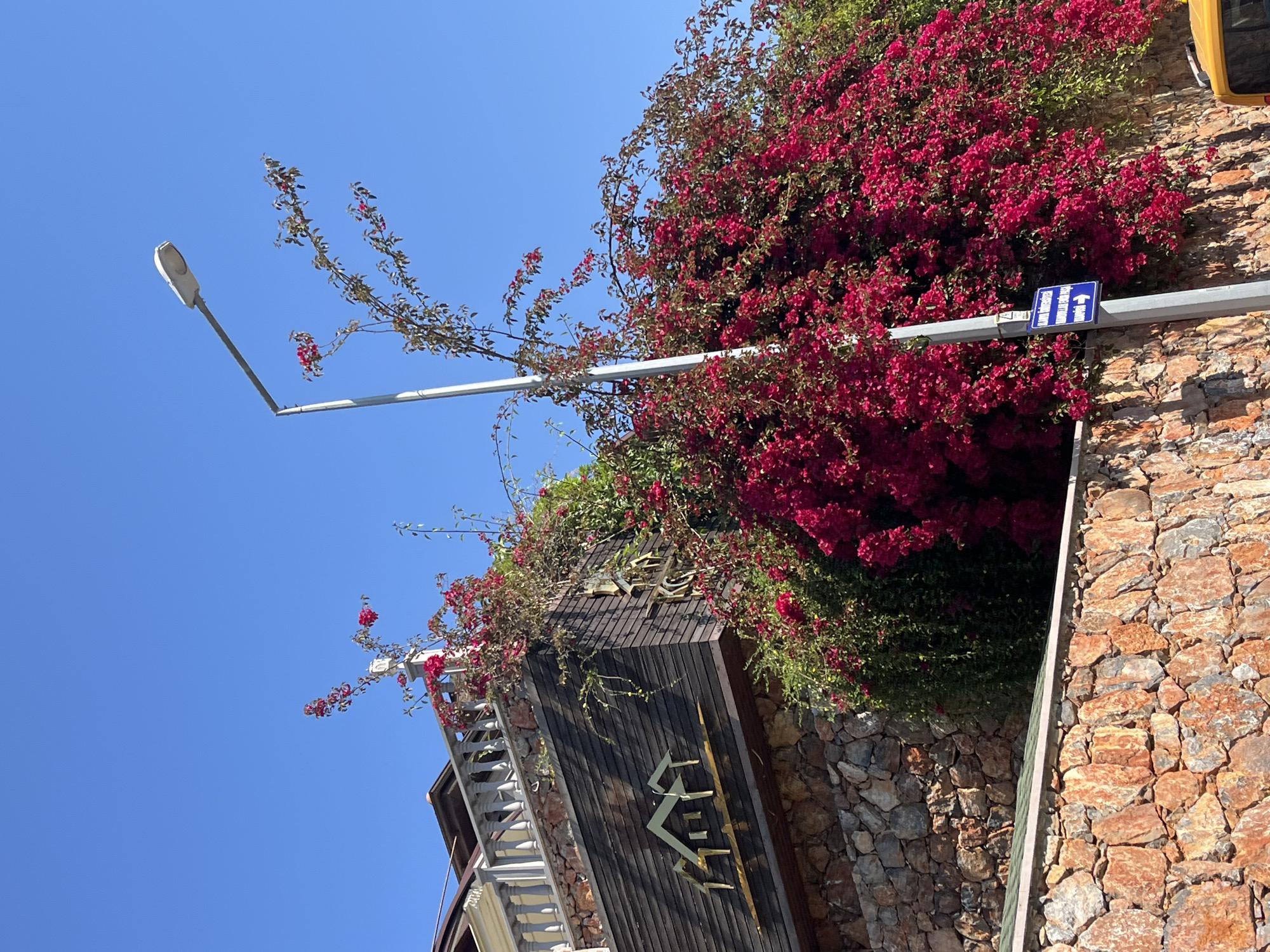 An upward shot captures the facade of a building in Alanya, Turkey. The building's stone wall is draped with abundant red bougainvillea. A street sign is fixed to a metal pole. The sky is clear and blue.