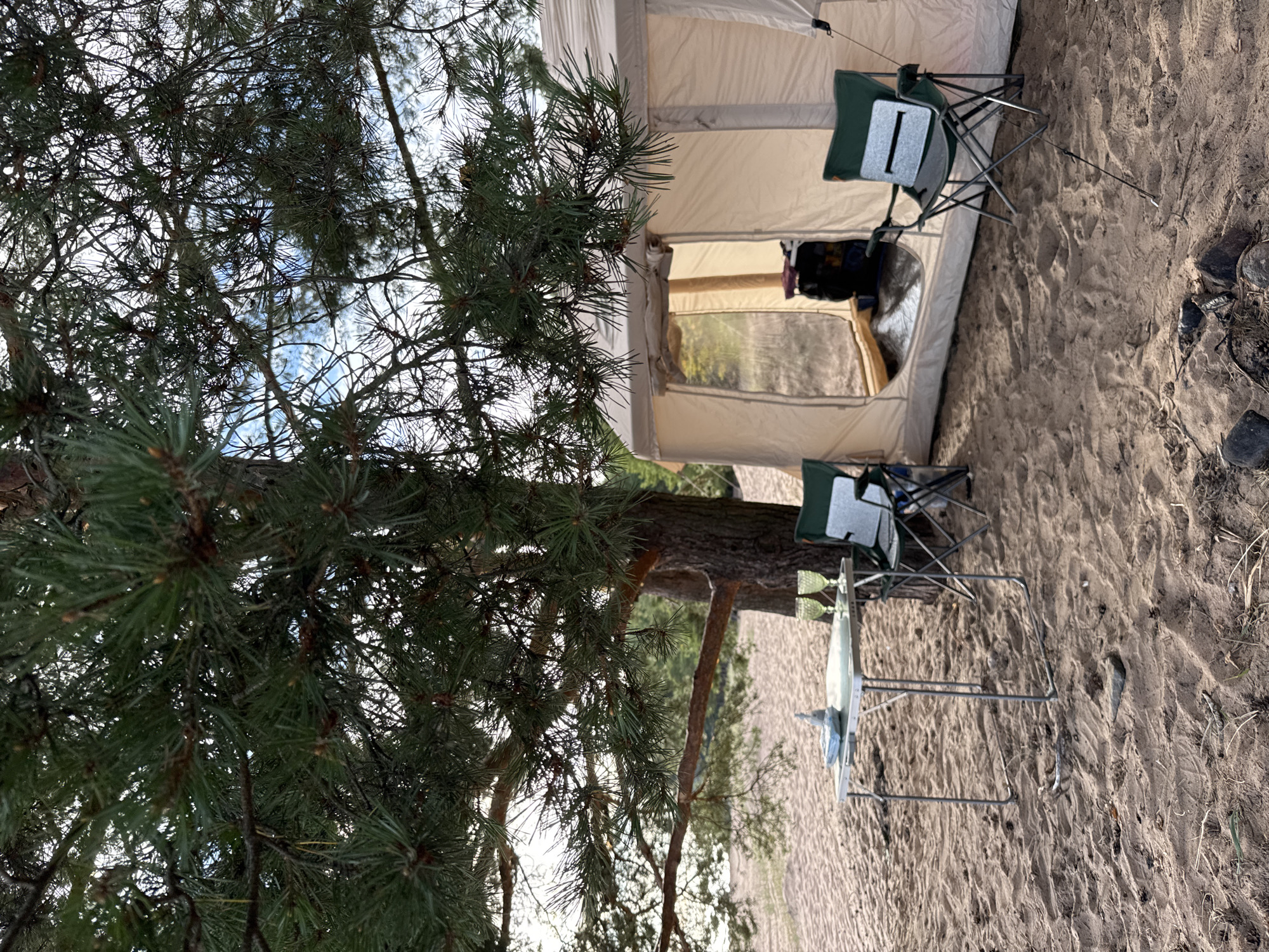 An outdoor scene depicts a camping setup on a sandy beach, likely in Zelenaya Roshcha, Russia, under the shade of a pine tree. A large, light-colored tent is pitched, with its entrance open, revealing some interior contents. In front of the tent, a small, foldable metal table holds a bottle and two stemmed glasses. Two green camping chairs are positioned near the table, one to the left and one to the right. The ground is covered in sand with scattered pine needles and small stones. In the background, the sea or a large body of water is visible, with a treeline along the horizon. The sky appears partly cloudy. The overall impression is one of a relaxed, natural setting for outdoor recreation.