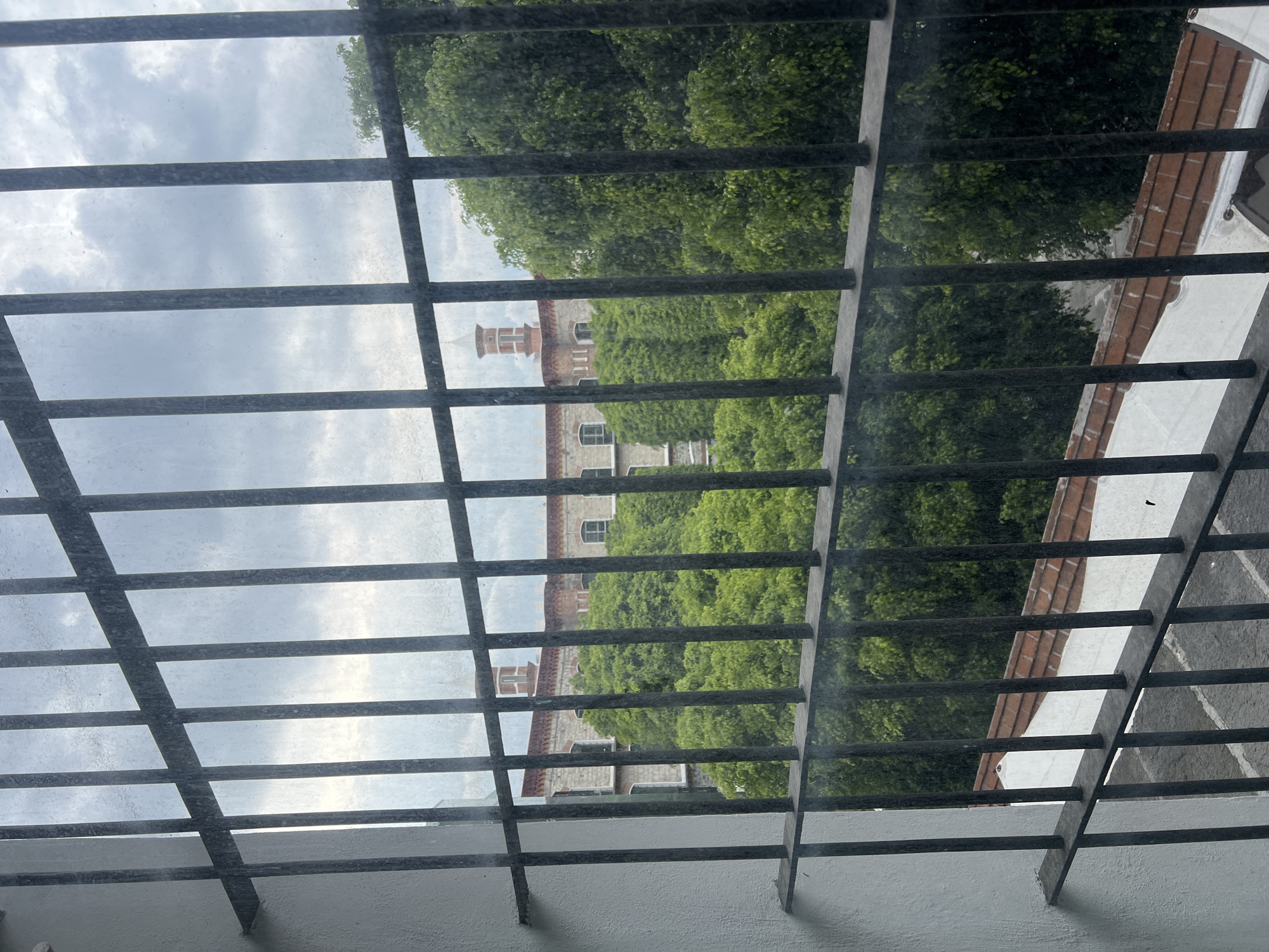 The image captures an outdoor scene viewed through a window with a prominent metal grid or security bars in the foreground. The window glass appears smudged or dusty. A light-colored wall or ledge is visible at the bottom of the frame, indicating the vantage point is from inside. Beyond the grid, lush, vibrant green trees and dense foliage fill the midground, suggesting a natural or well-landscaped environment.
Through the foliage, a distinctive building with traditional architecture can be seen. It features light-colored stone walls and red-tiled roofs. A notable detail is a circular tower or turret with a red-tiled conical roof, located towards the left side of the building. Several rectangular windows are also visible on the building's facade. The sky above is overcast with grey clouds, indicating a cloudy daytime. No people or specific activities are depicted, giving the scene a serene and static quality. The architectural style, particularly the stone work and tiled roofs, aligns with the provided context of Puebla, Mexico. There is no visible text in the image.
