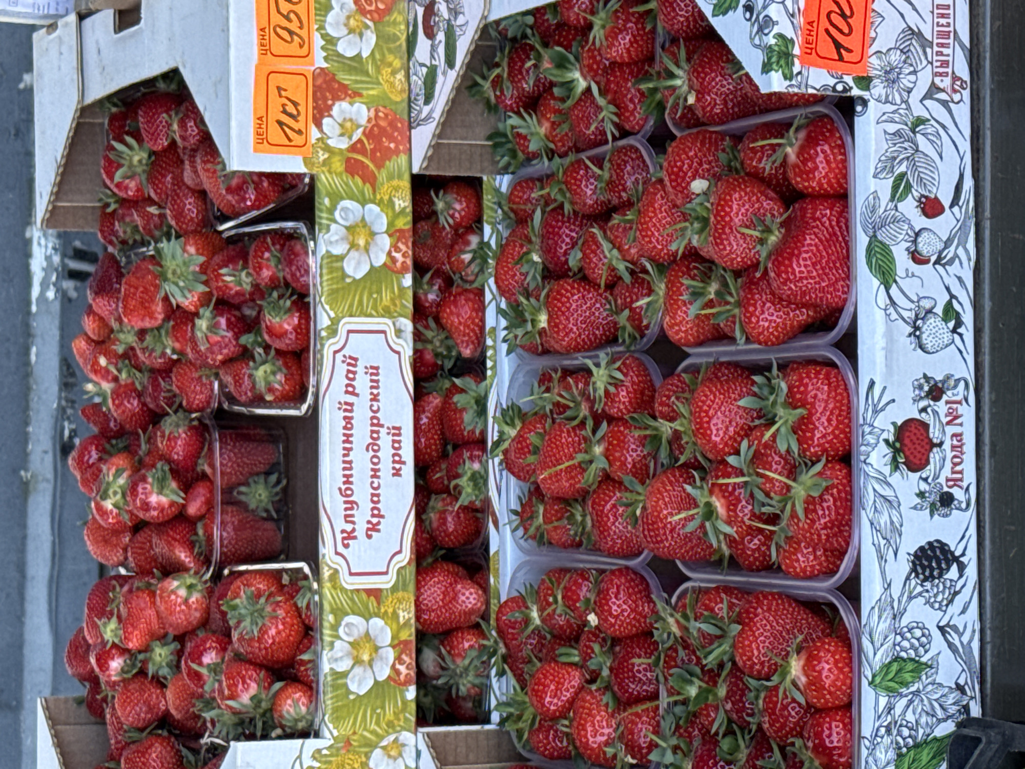 The image shows a cardboard box of strawberries. The strawberries are red and have green stems. They are arranged in clear plastic containers inside the box. The box is decorated with images of strawberries and flowers. Text on the box is in Russian, indicating the strawberries are from the Krasnodar region. The image may have been taken in Vsevolozhsk, Russia.